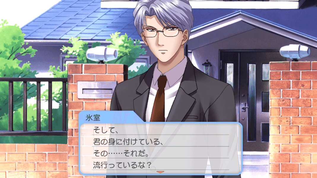 Maestro MixremixときメモGS 主人公✕氷室零一同人誌