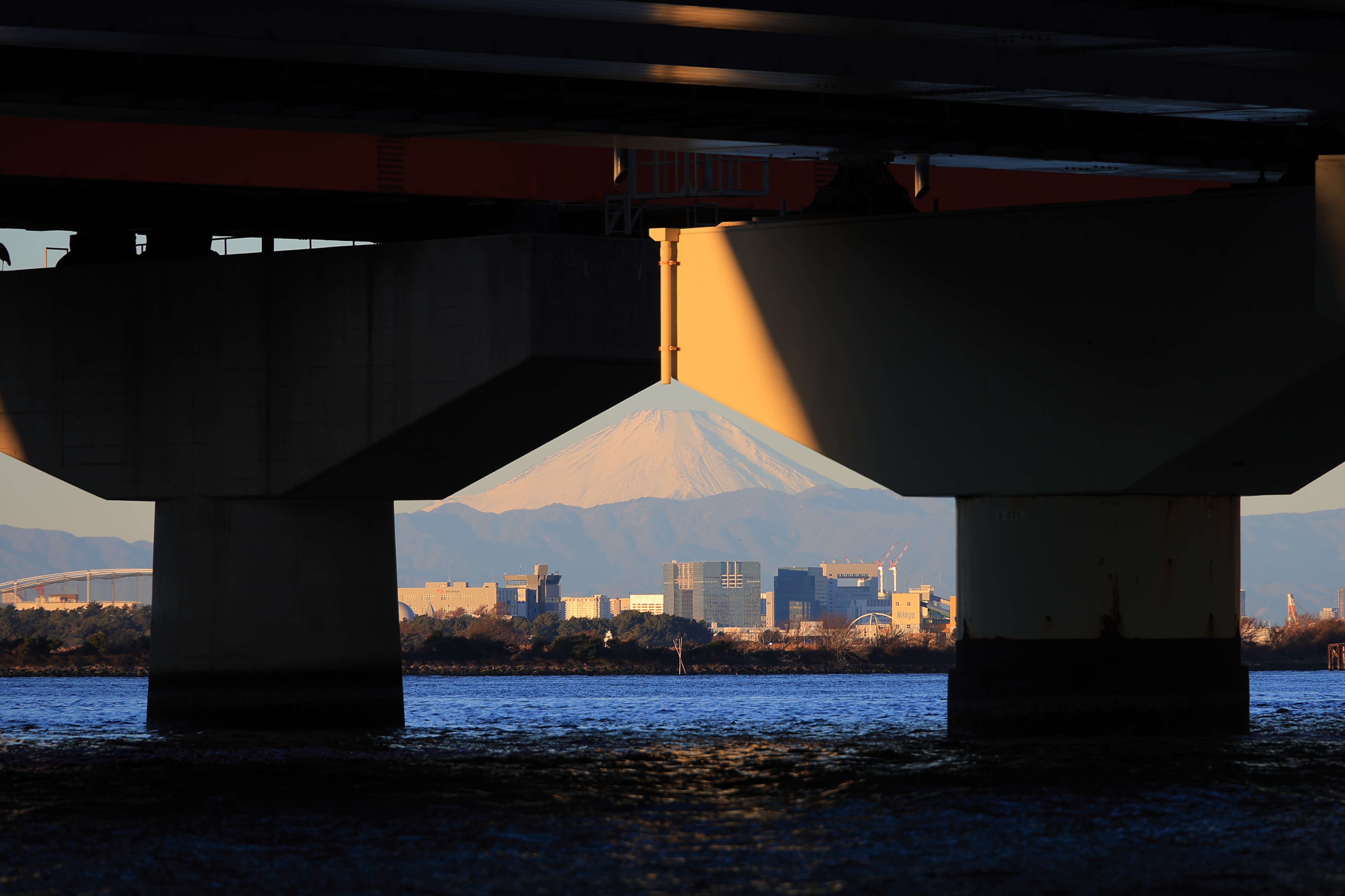 旧江戸川沿いの富士山｜Toru Shiratori