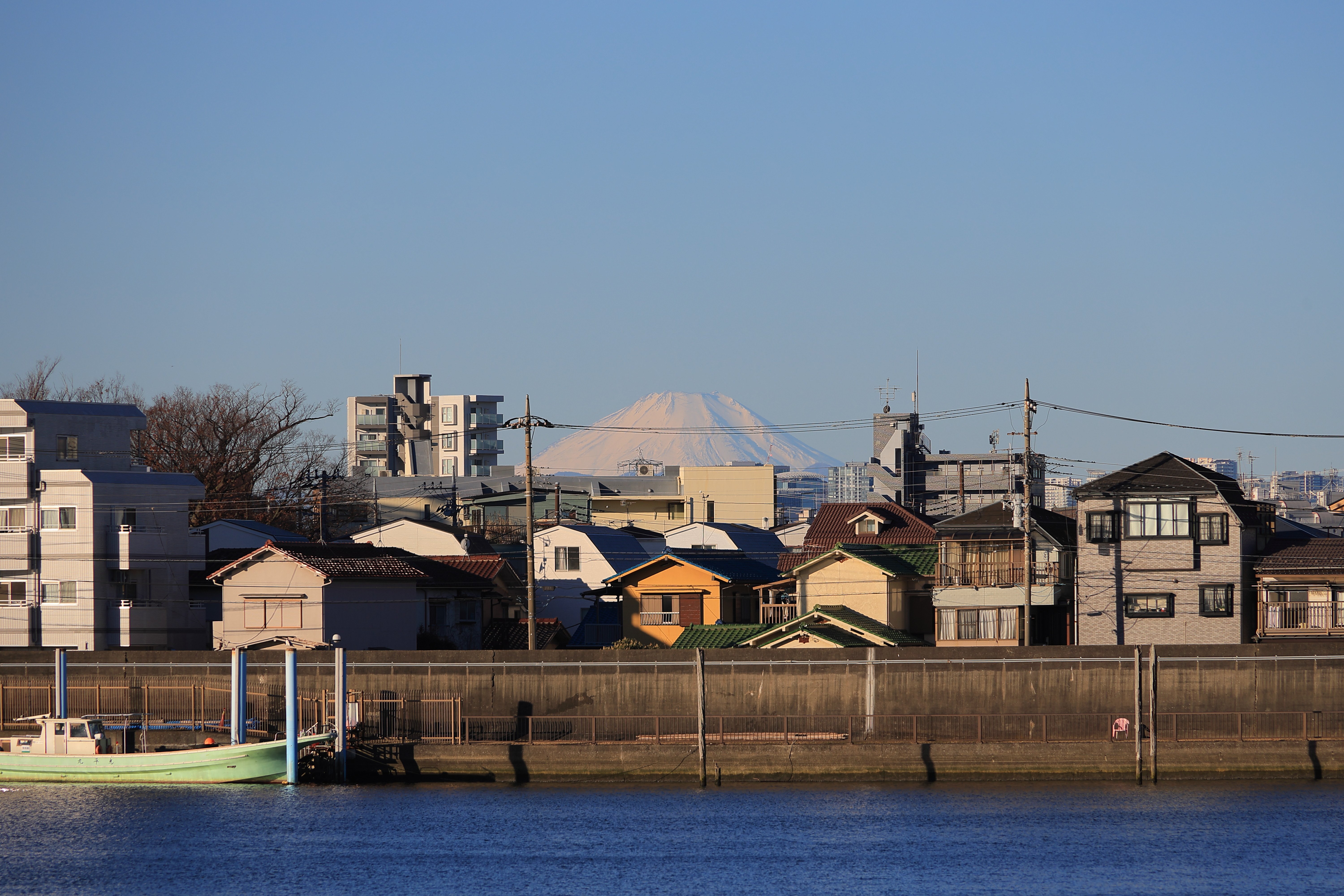 旧江戸川沿いの富士山｜Toru Shiratori