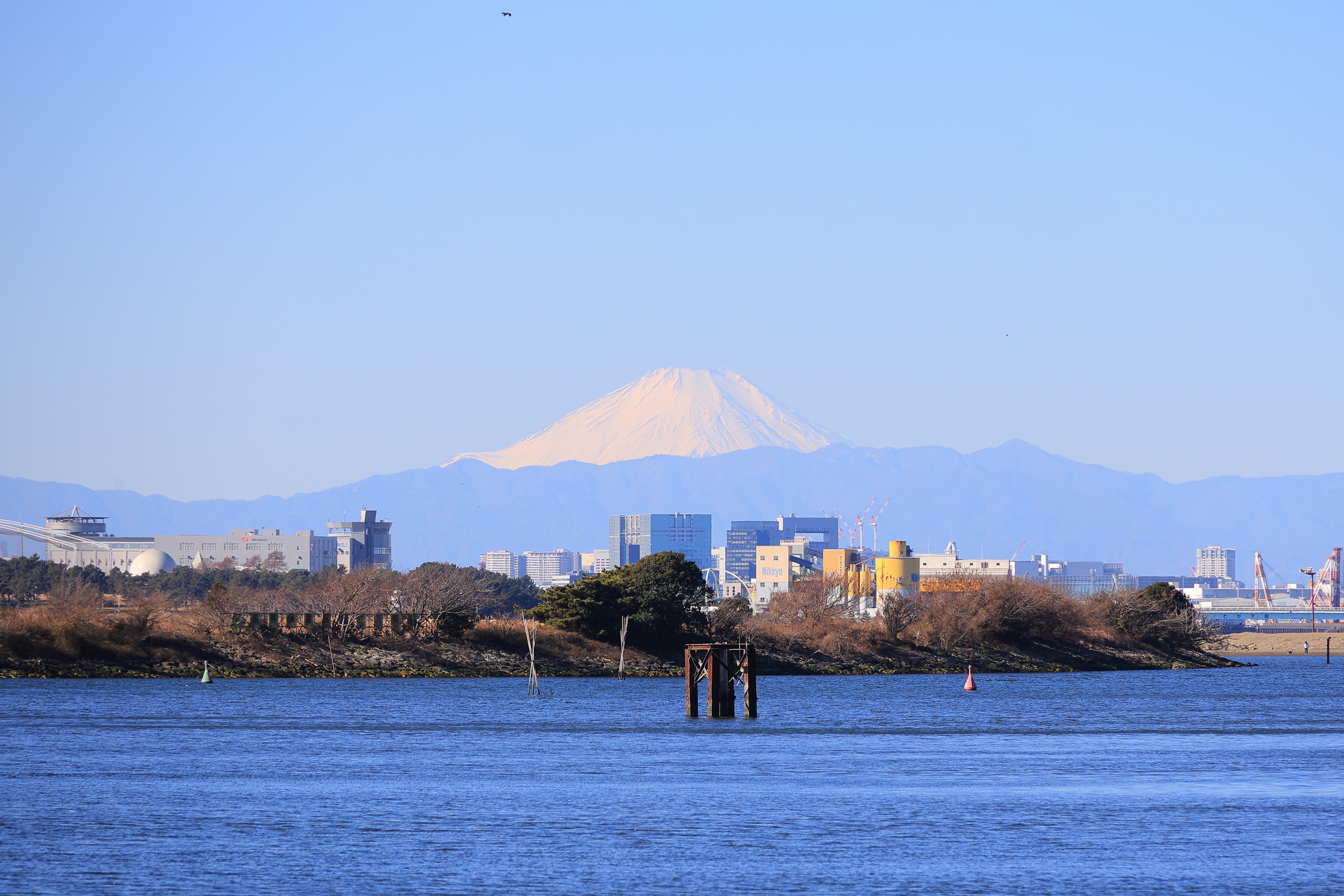 旧江戸川沿いの富士山｜Toru Shiratori