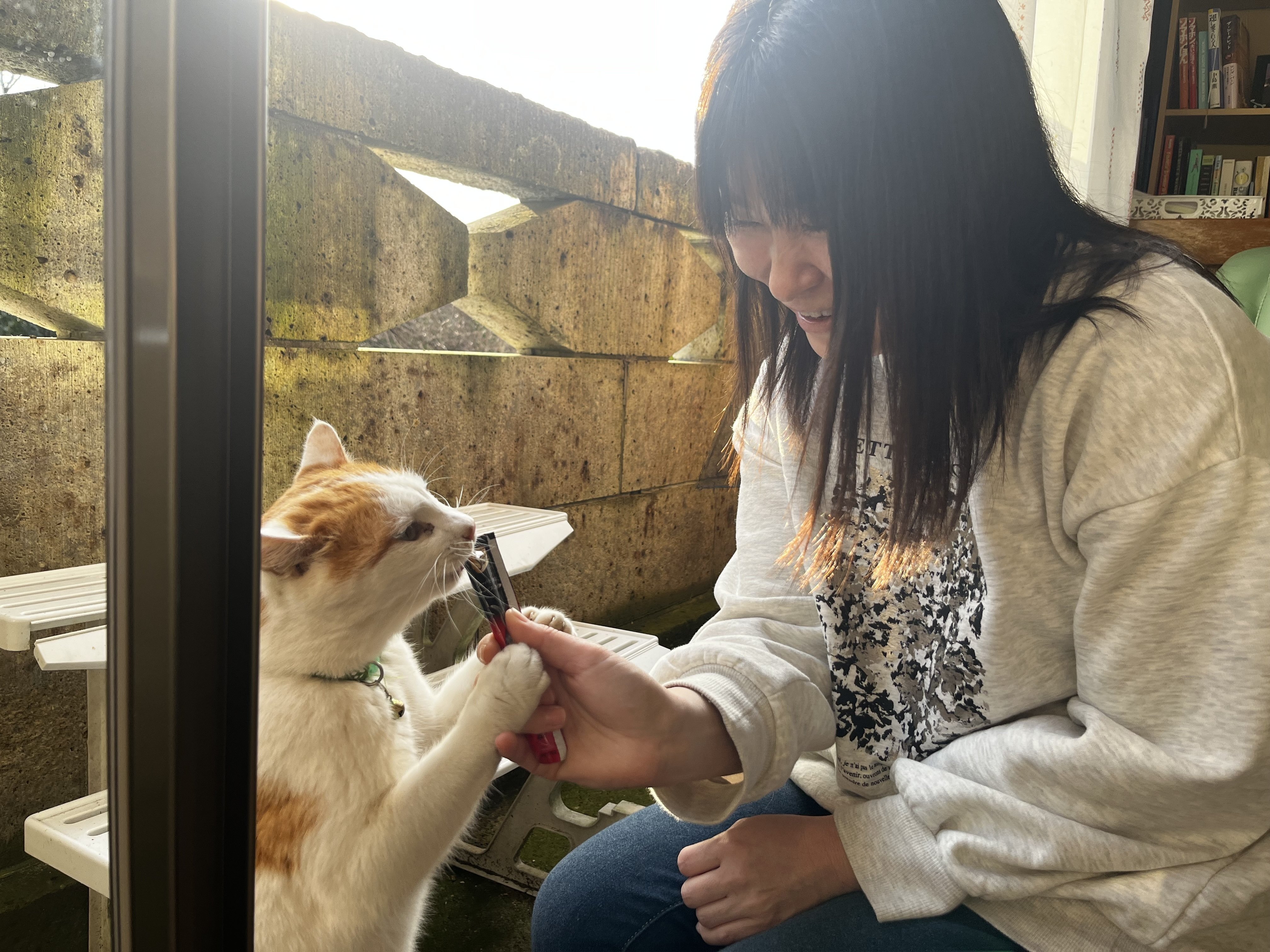 田舎の大きな一軒家を一棟貸し！「TSハウス Grandpa&Grandma's