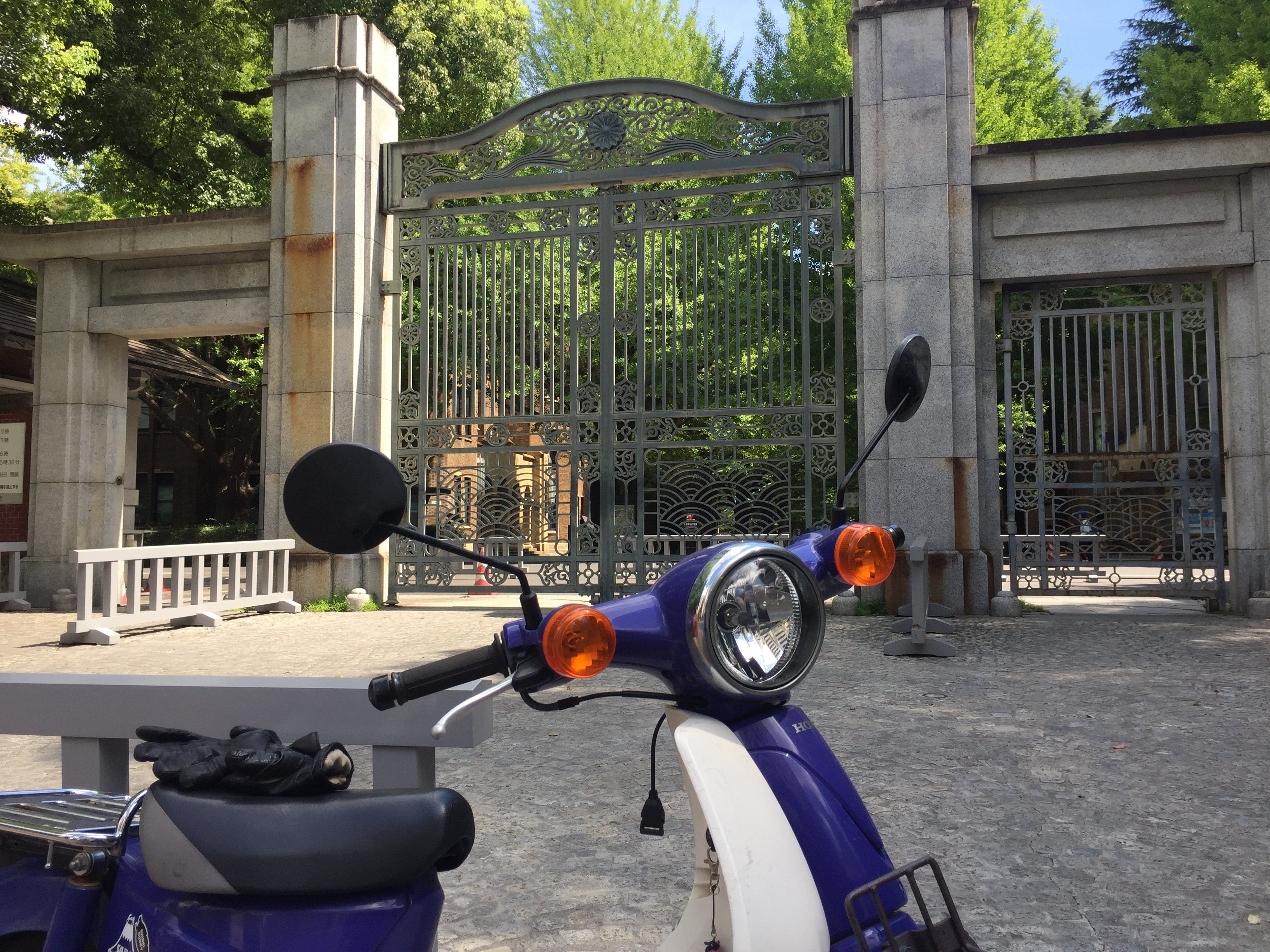 すごい博物館002】東京大学総合研究博物館：最高学府130年の歴史的