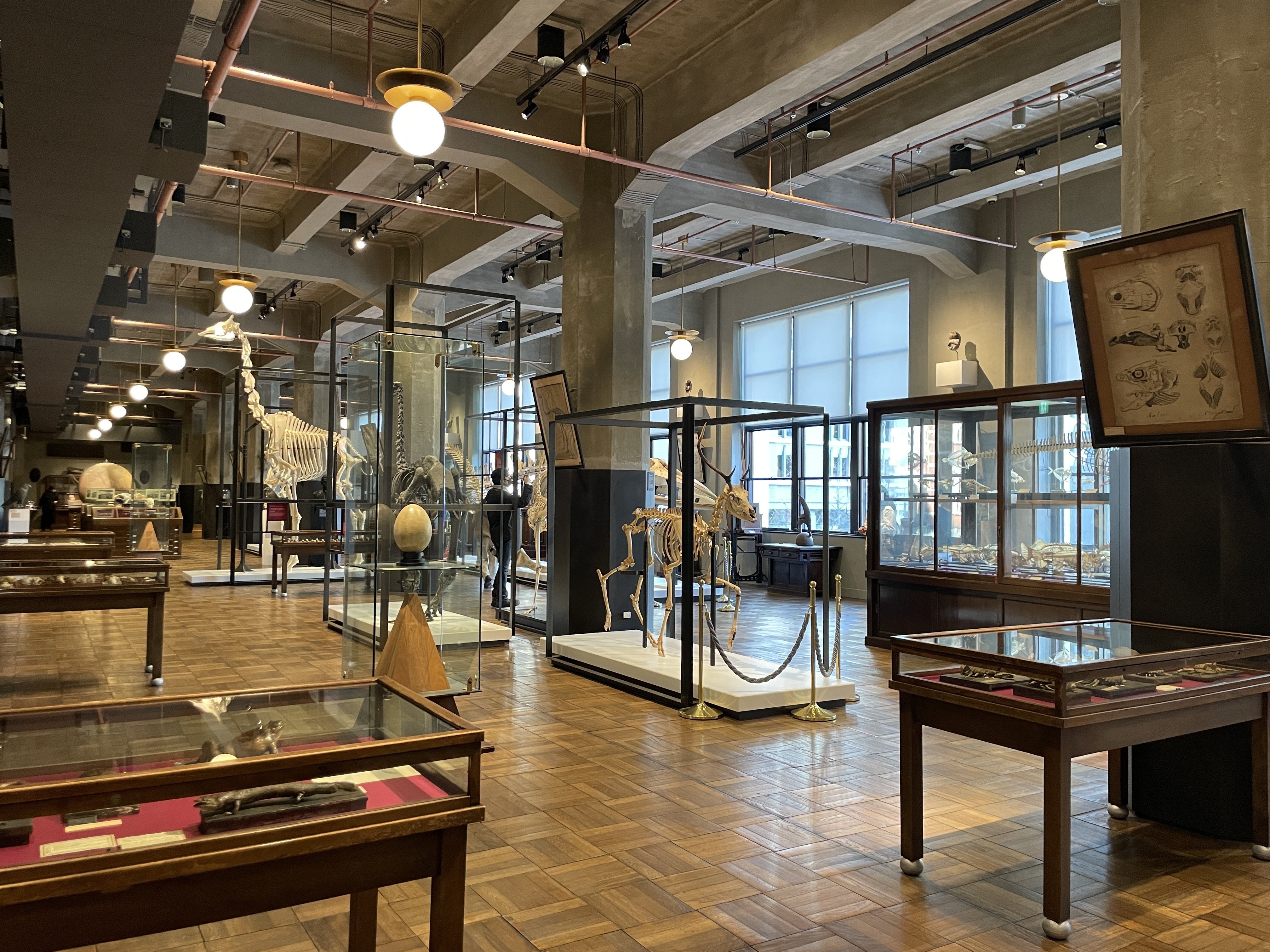 すごい博物館002】東京大学総合研究博物館:最高学府130年の すごい博物館002】東京大学総合研究博物館:最高学府130年の