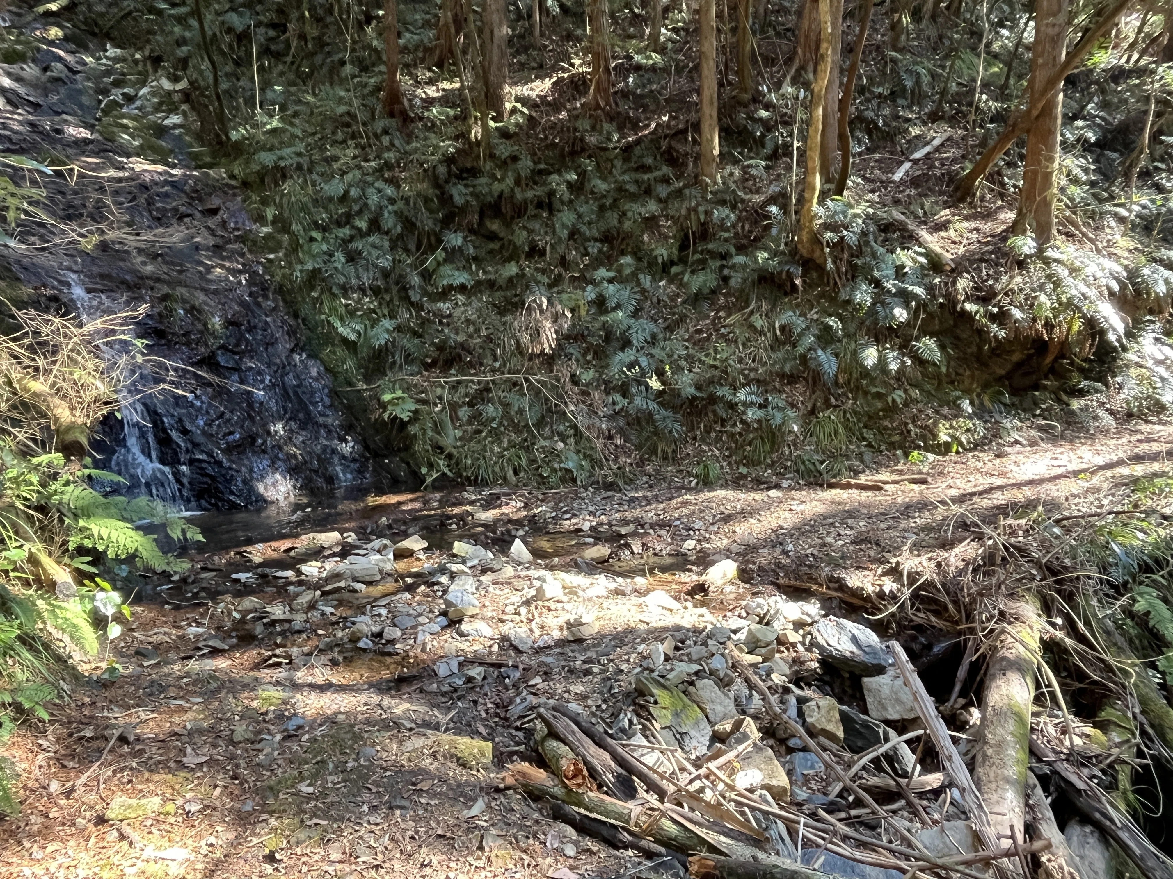 山口県道134号秋掛錦線 不通区間 後編｜Asatteca