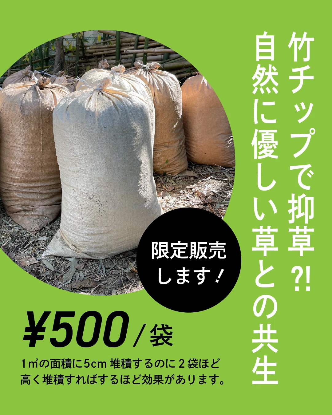 竹粉末　竹チップ　トン袋入り 抑草ができる竹チップご予約開始します🌱｜一般社団法人BUN－KAI