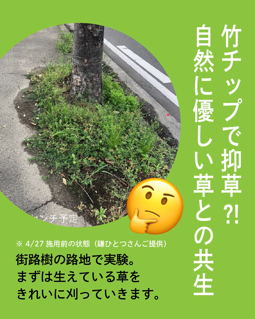 抑草ができる竹チップご予約開始します🌱｜一般社団法人BUN－KAI