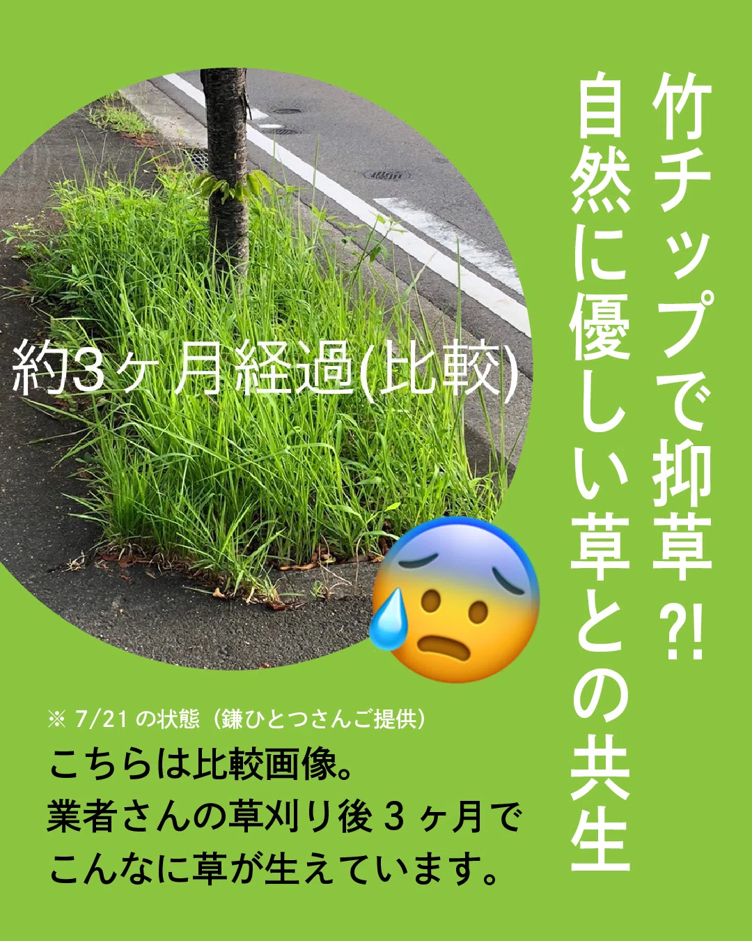 抑草ができる竹チップご予約開始します🌱｜一般社団法人BUN－KAI