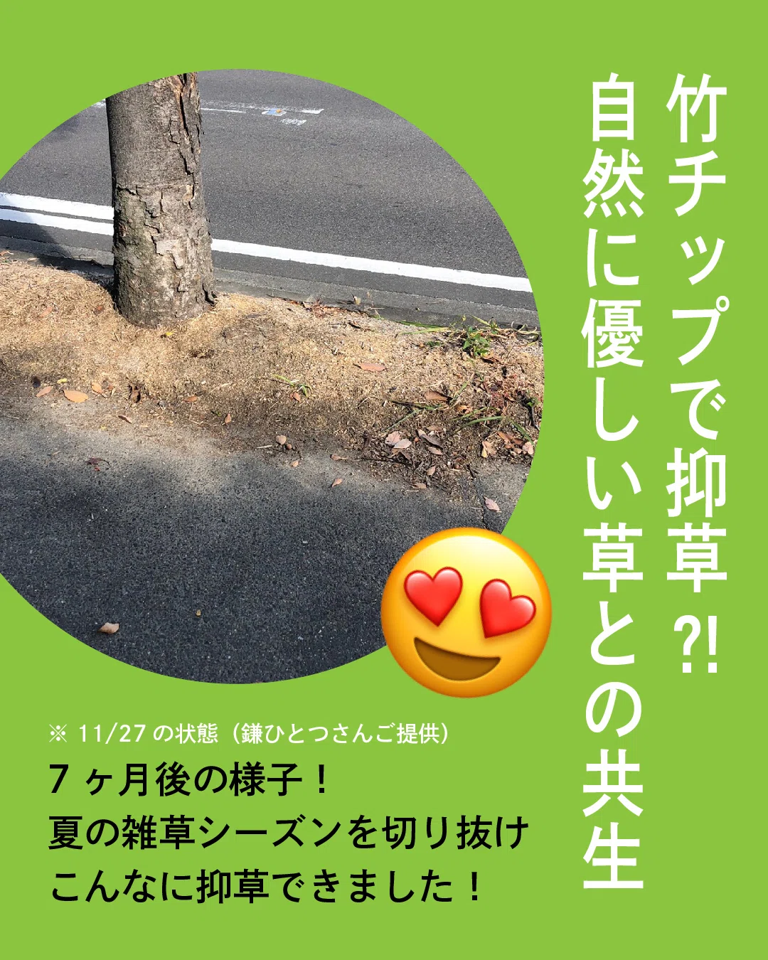 抑草ができる竹チップご予約開始します🌱｜一般社団法人BUN－KAI