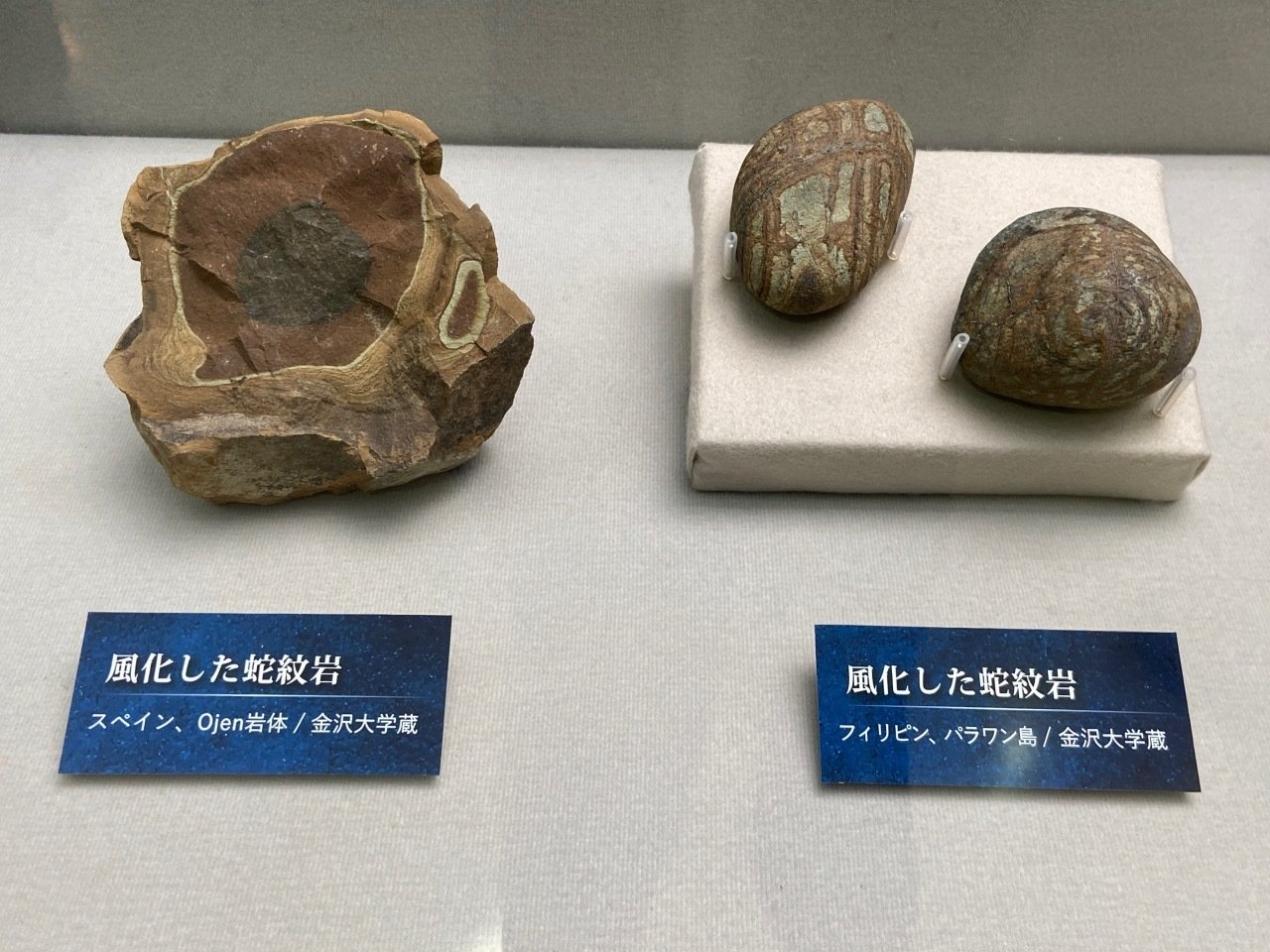 Happy New Year of Serpentine!｜八重樫理彦 Yaegashi Yoshihiko