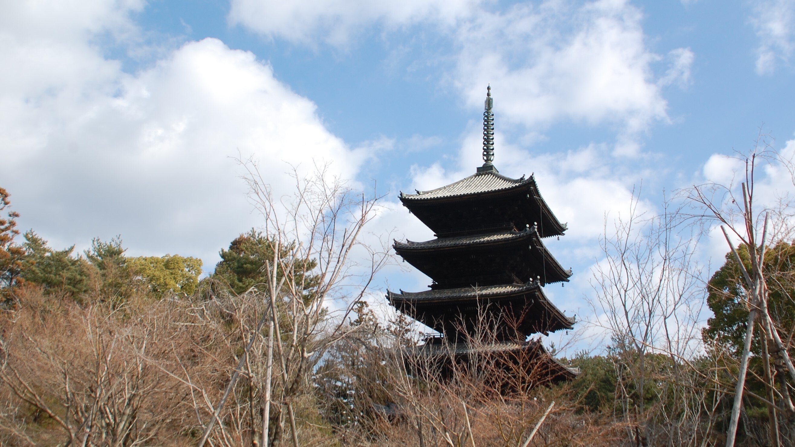 てらたびnote 京都 御室 仁和寺 第二章:御影堂 五重塔 九所明神 てらたびnote 京都 御室 仁和寺 第二章:御影堂 五重塔 九所明神