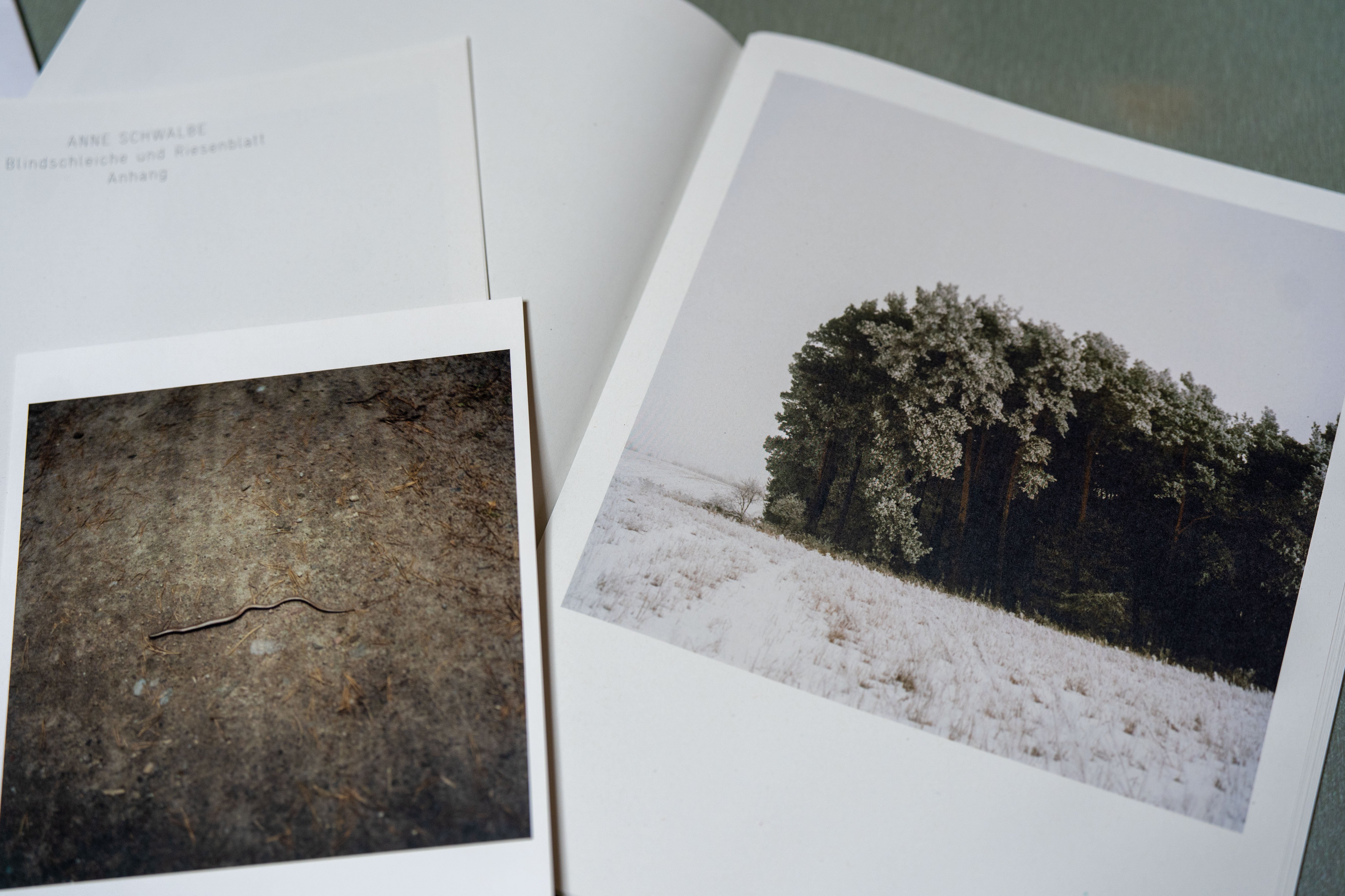 anne schwlbe 写真集 アンネ・シュヴァルベの写真集を購入した｜新宅 成憲