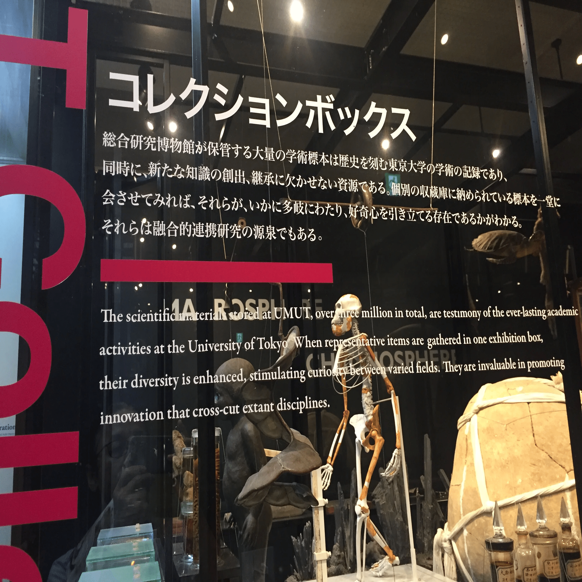 すごい博物館002】東京大学総合研究博物館：最高学府130年の歴史的