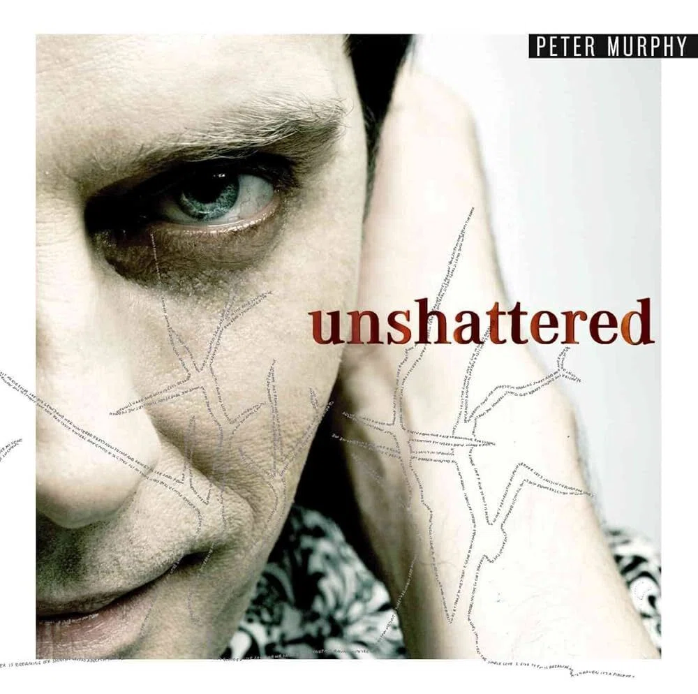 全アルバム】〜Peter Murphy…Gothの帝王にはまだ先がある！ソロ全