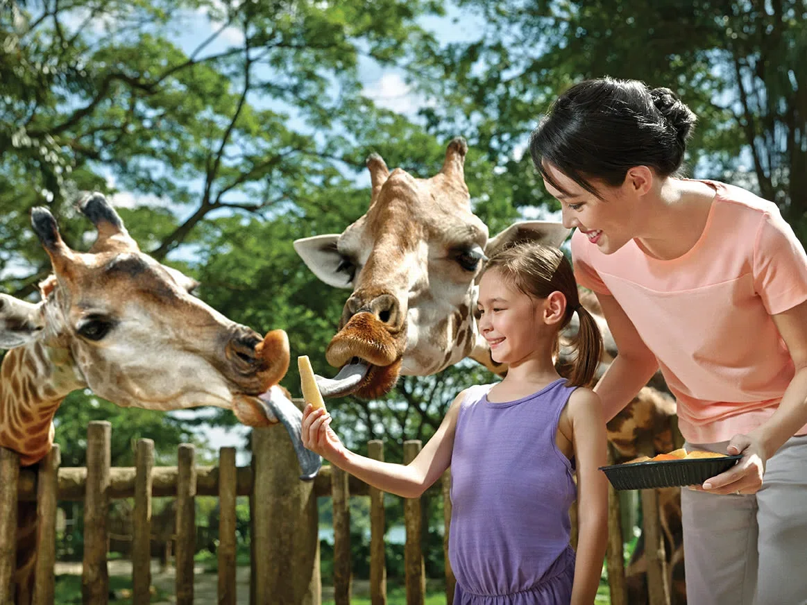 シンガポール動物園