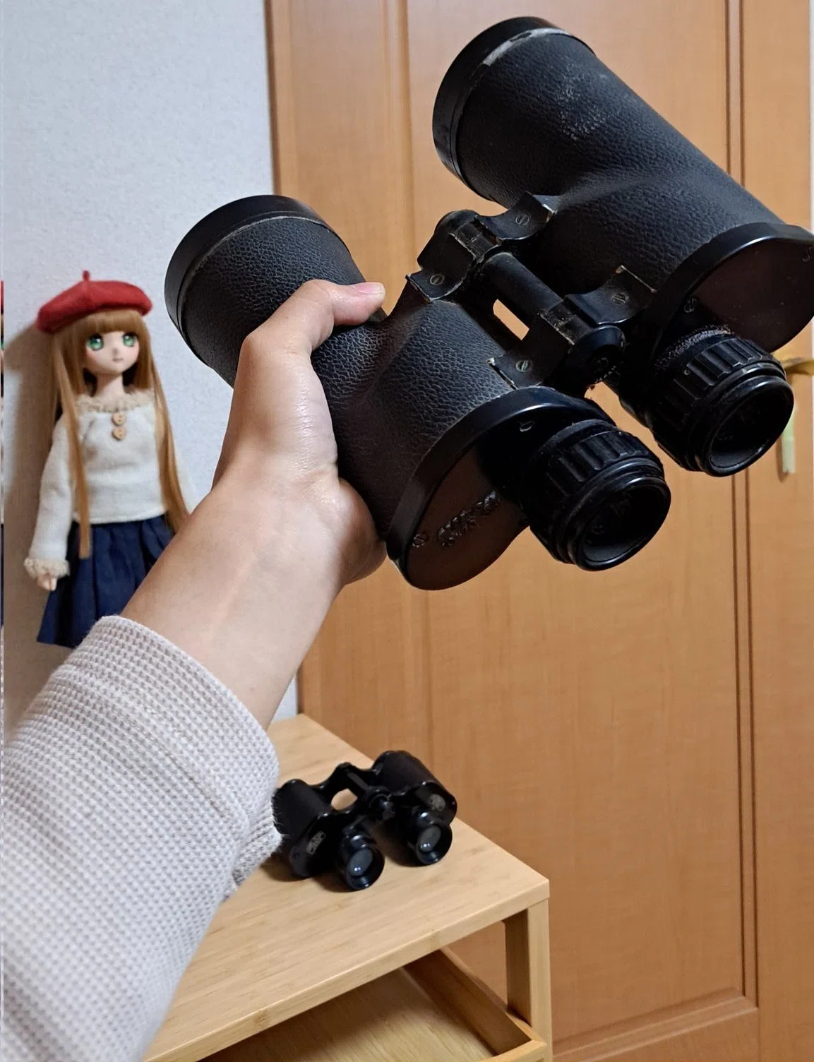 素晴らしき広角 『Nikon 10×70 6.5° Wide Field』｜うにょーん