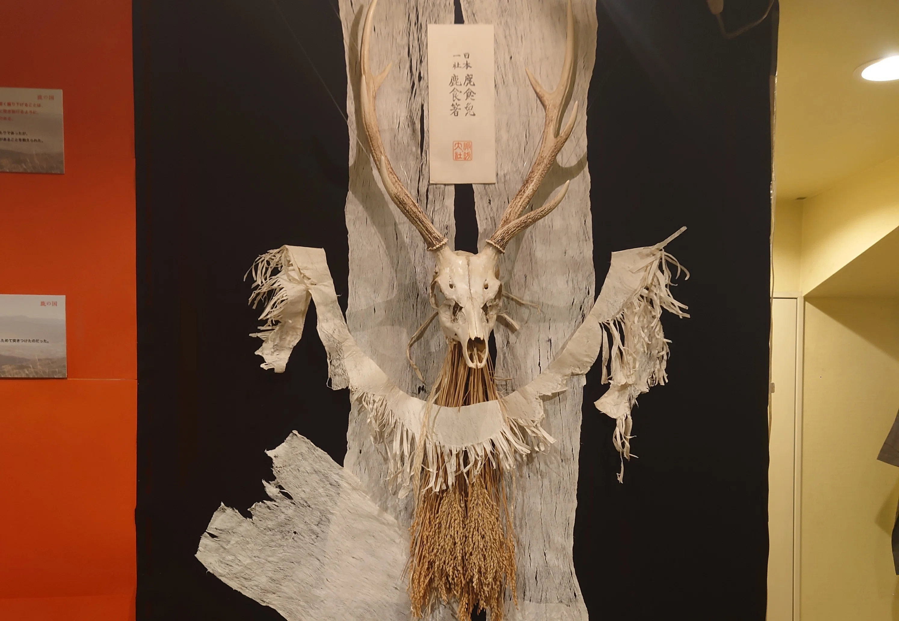 鹿の国」見てきた｜Yuba
