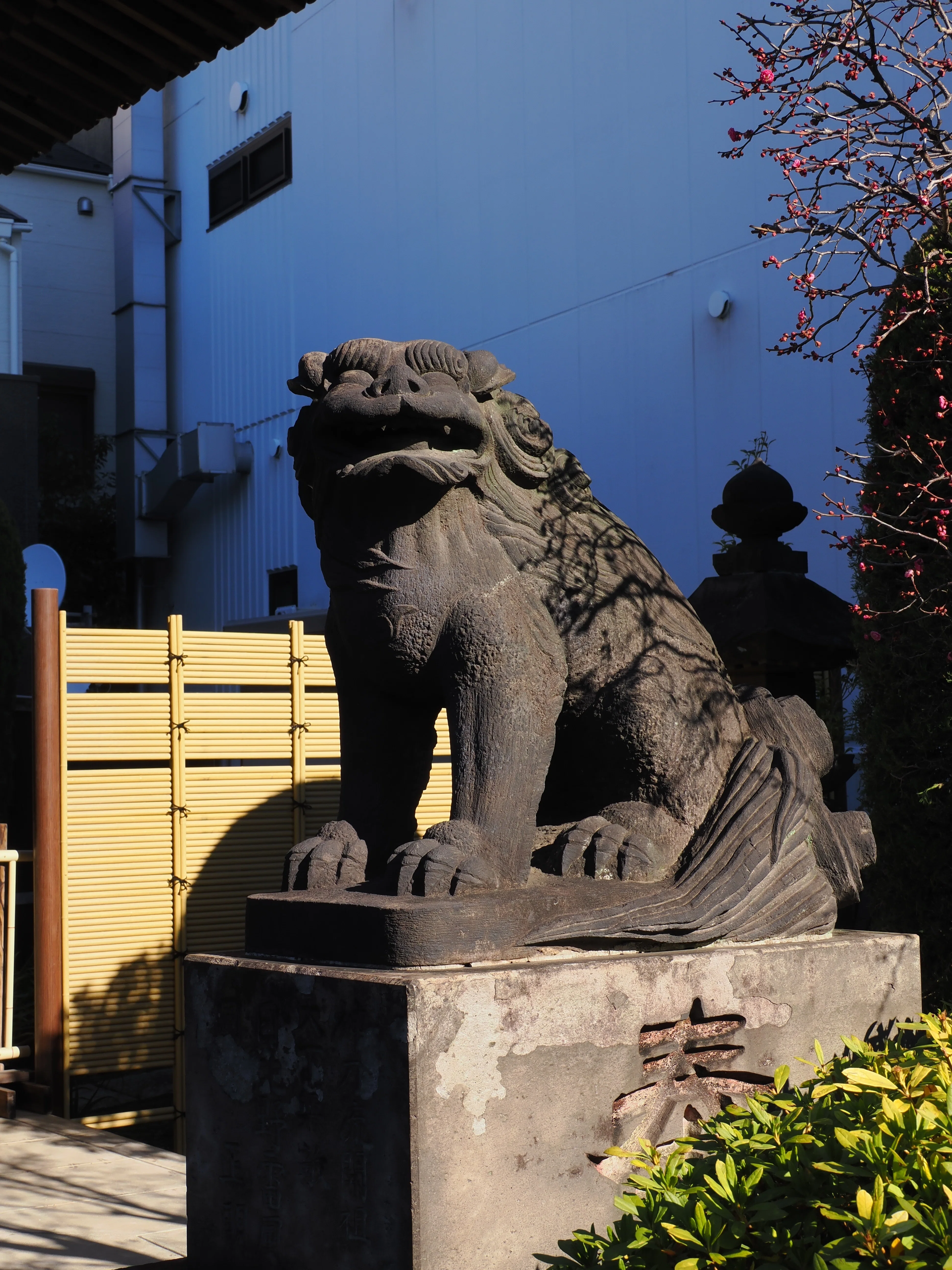 Bromptonで江戸五色不動巡り｜masai