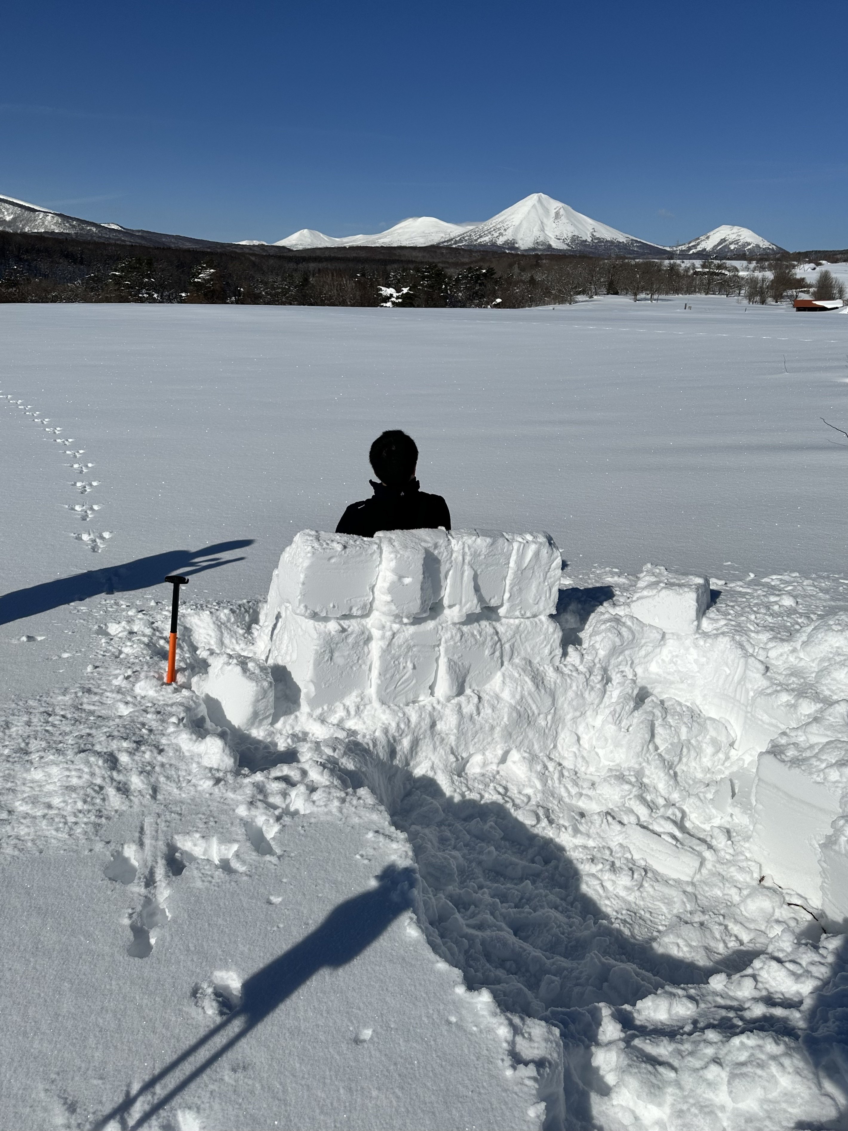 絶景 冬の八甲田連峰 25/1/27｜奥入瀬日和@星野リゾート