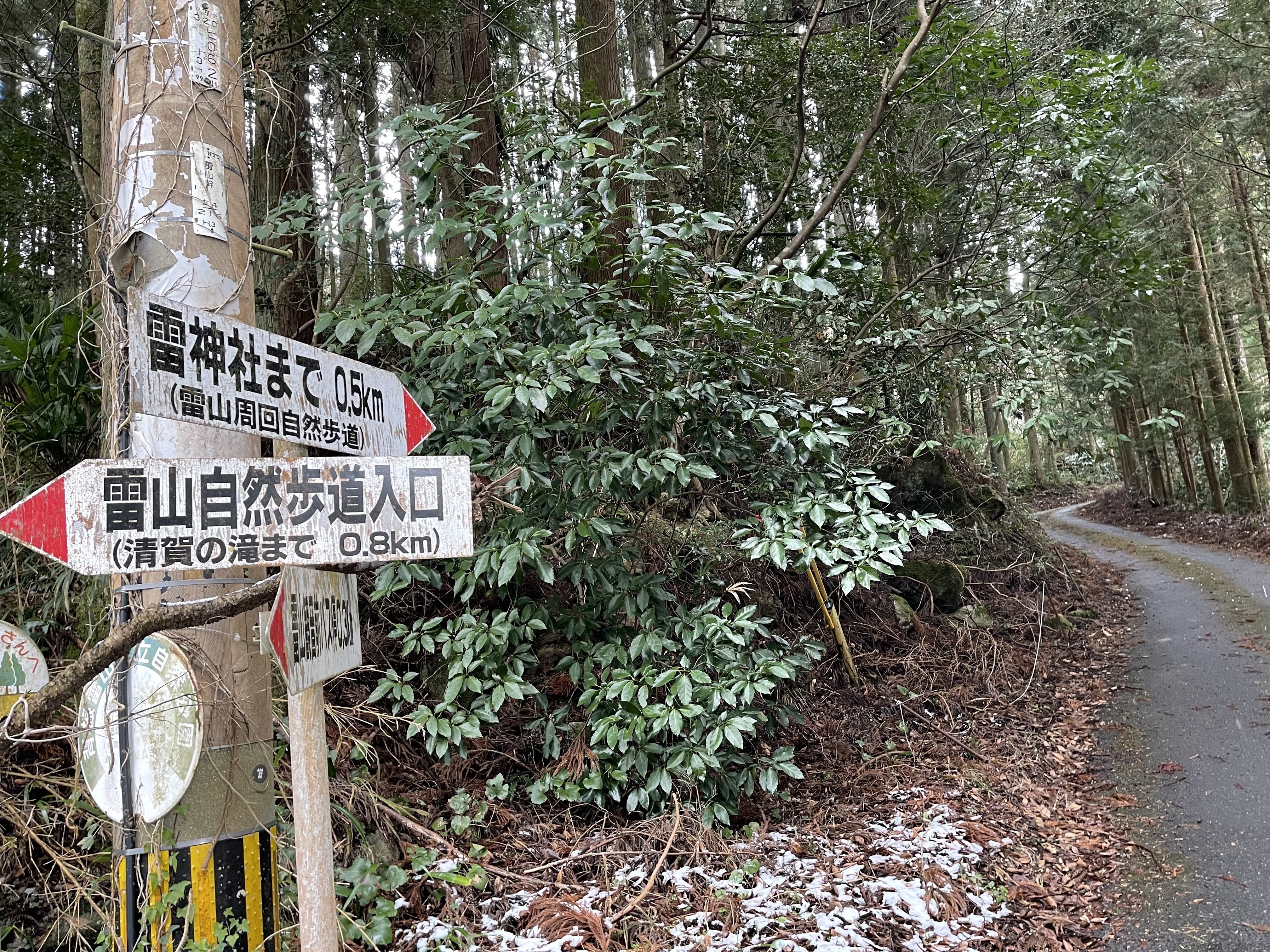 久々雪の雷山にスキーを持って♬｜ラリーグラス