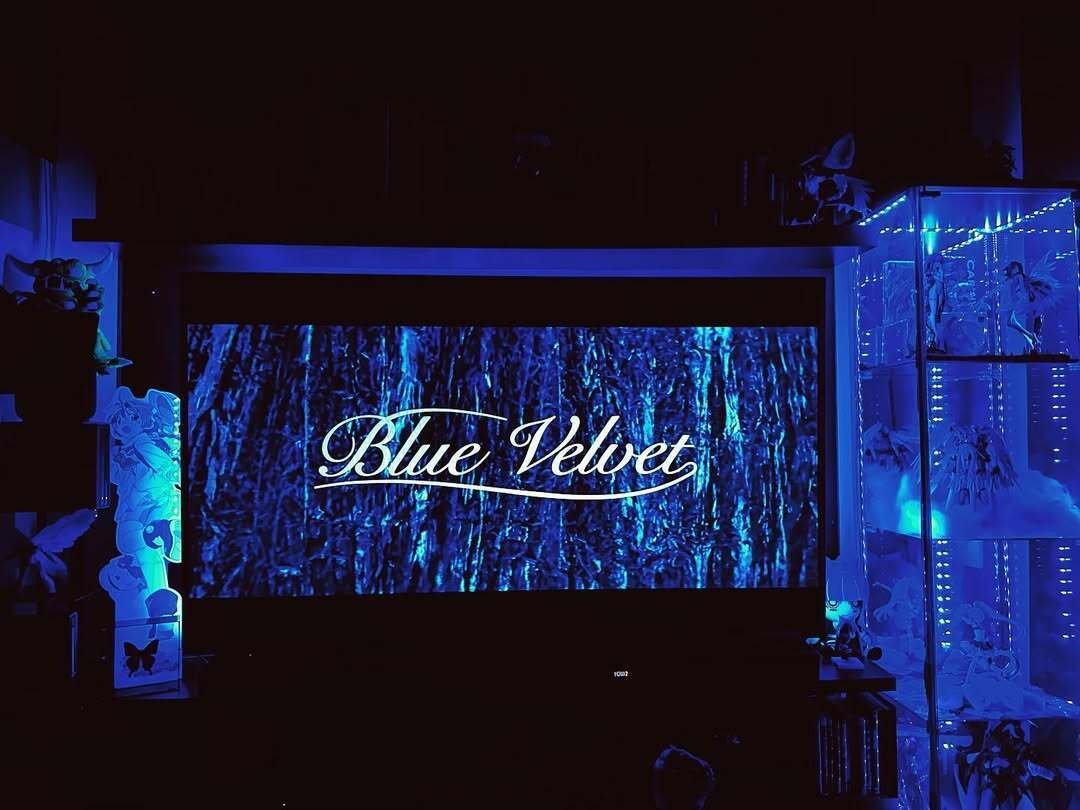 ミニアソートメントカップケーキ（24個 / 48個）※3～4日以内順次発送 – BellasCupcakes, image size:1080x810