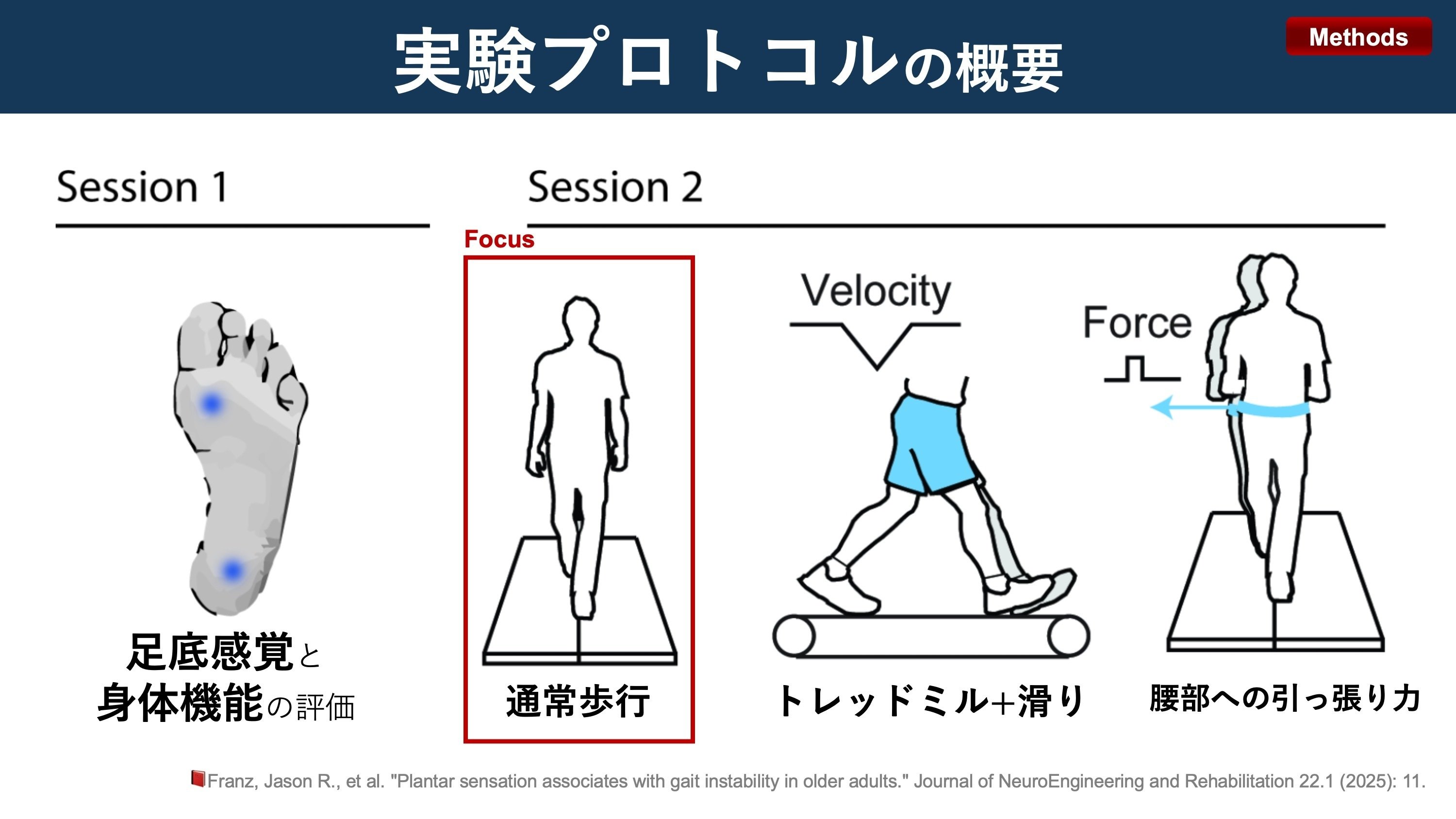 高齢者の足底感覚と歩行不安定性｜Super Human | 理学療法士
