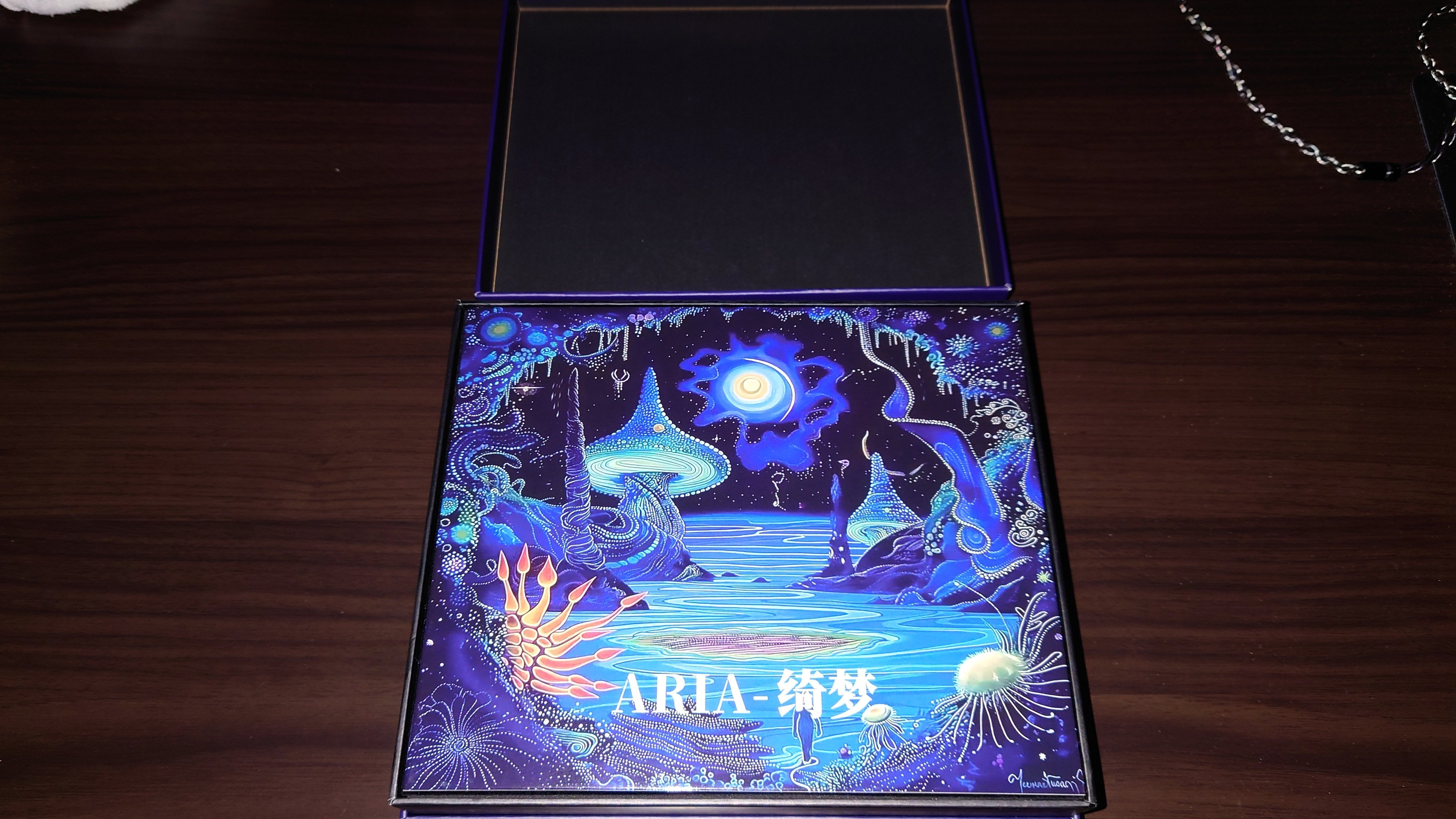 CVJ ARIA-绮梦 新品未開封 有線イヤホン リケーブル可能 中華イヤホン Amazon.co.jp: CVJ Aria 绮夢 イヤモニ 有線イヤホンカナル型