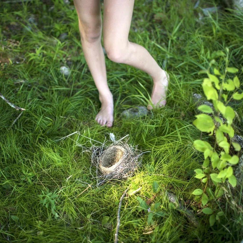 Gardening at Night(夜のガーデニング)：Cig Harvey｜artoday - chiaki