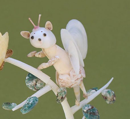 バラの妖精」｜zoo_shell