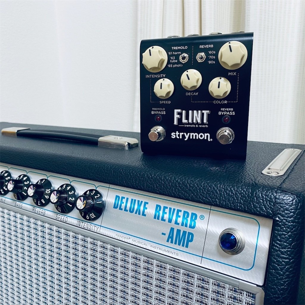 Strymon Flint レビュー｜森の秘密基地