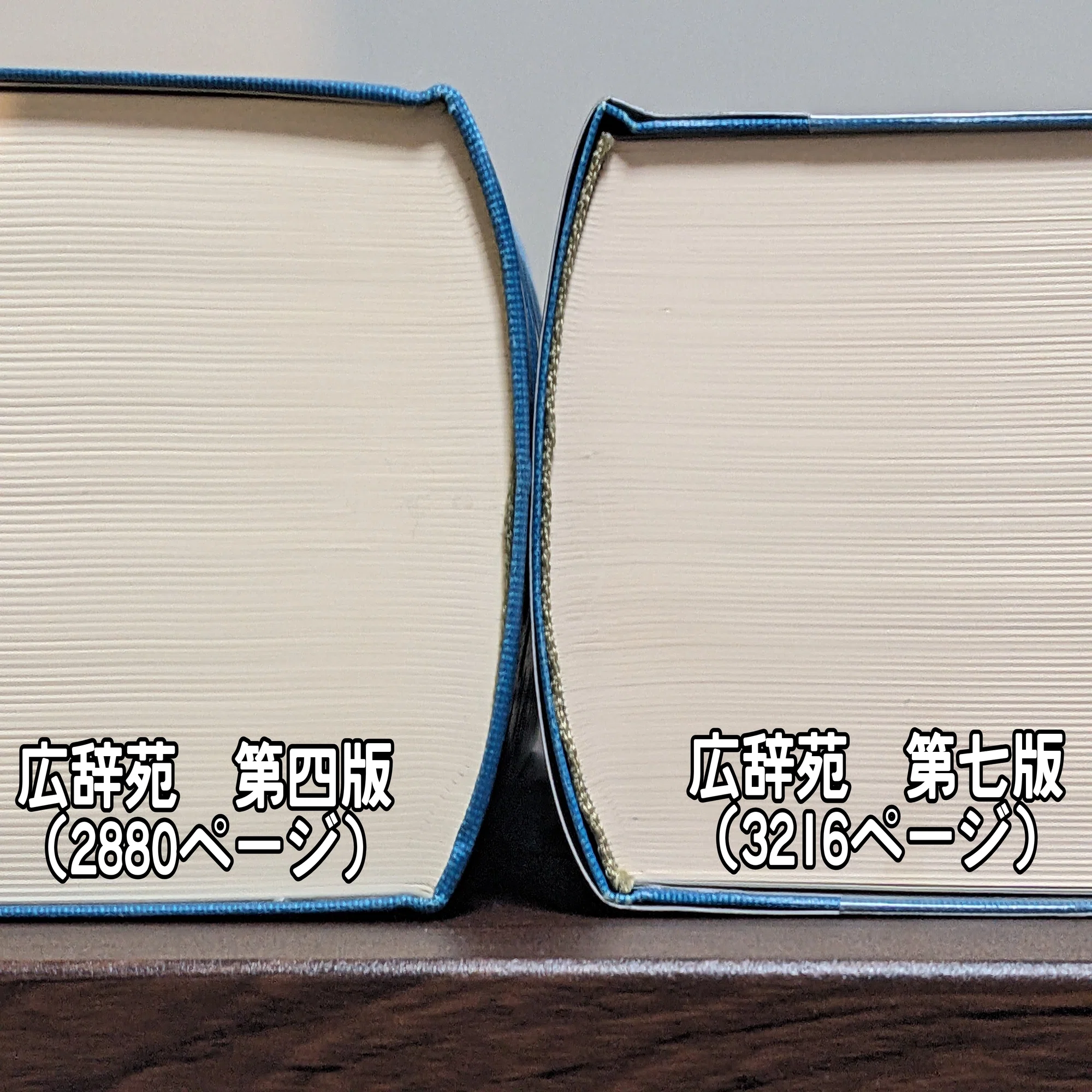 広辞苑 重さ 広辞苑大学 広辞苑第7巻 野草デジカメ日記