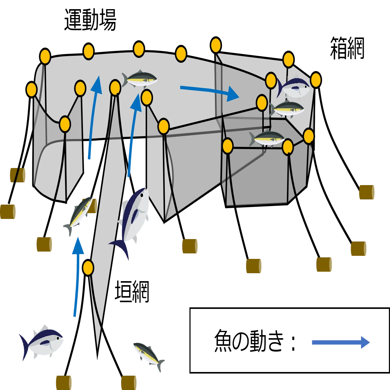 新版 定置網設計図大全集 仮想空間で漁業を営む｜Y. Takahashi