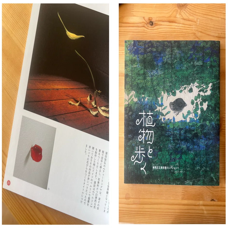 須田悦弘展が松濤美術館で開かれた意義｜ツギハギ