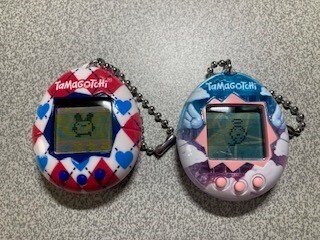 ゲーム：てんしっち｜土留かるた