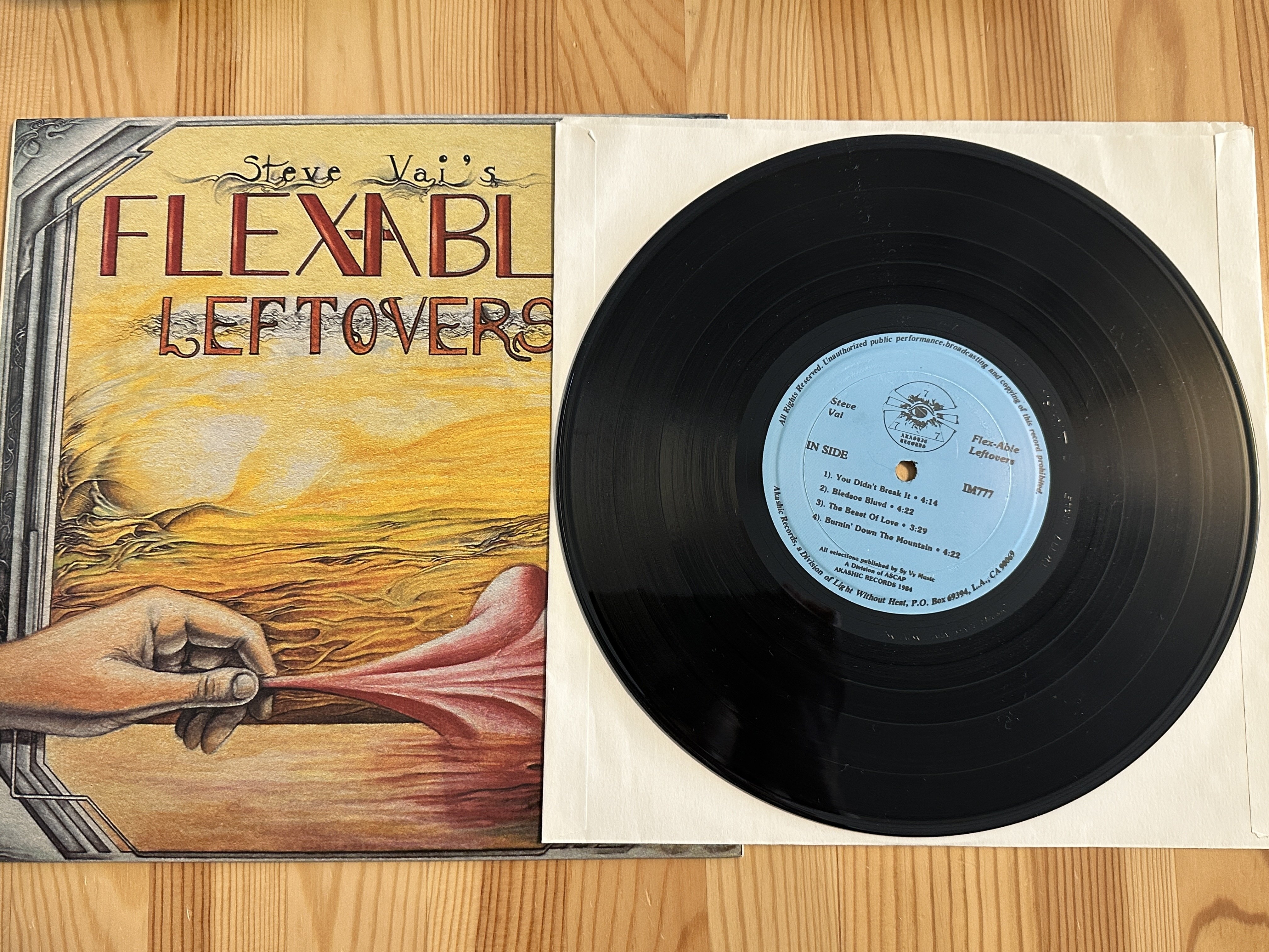 FLEX-ABLE LEFTOVERSの10インチ｜Saki