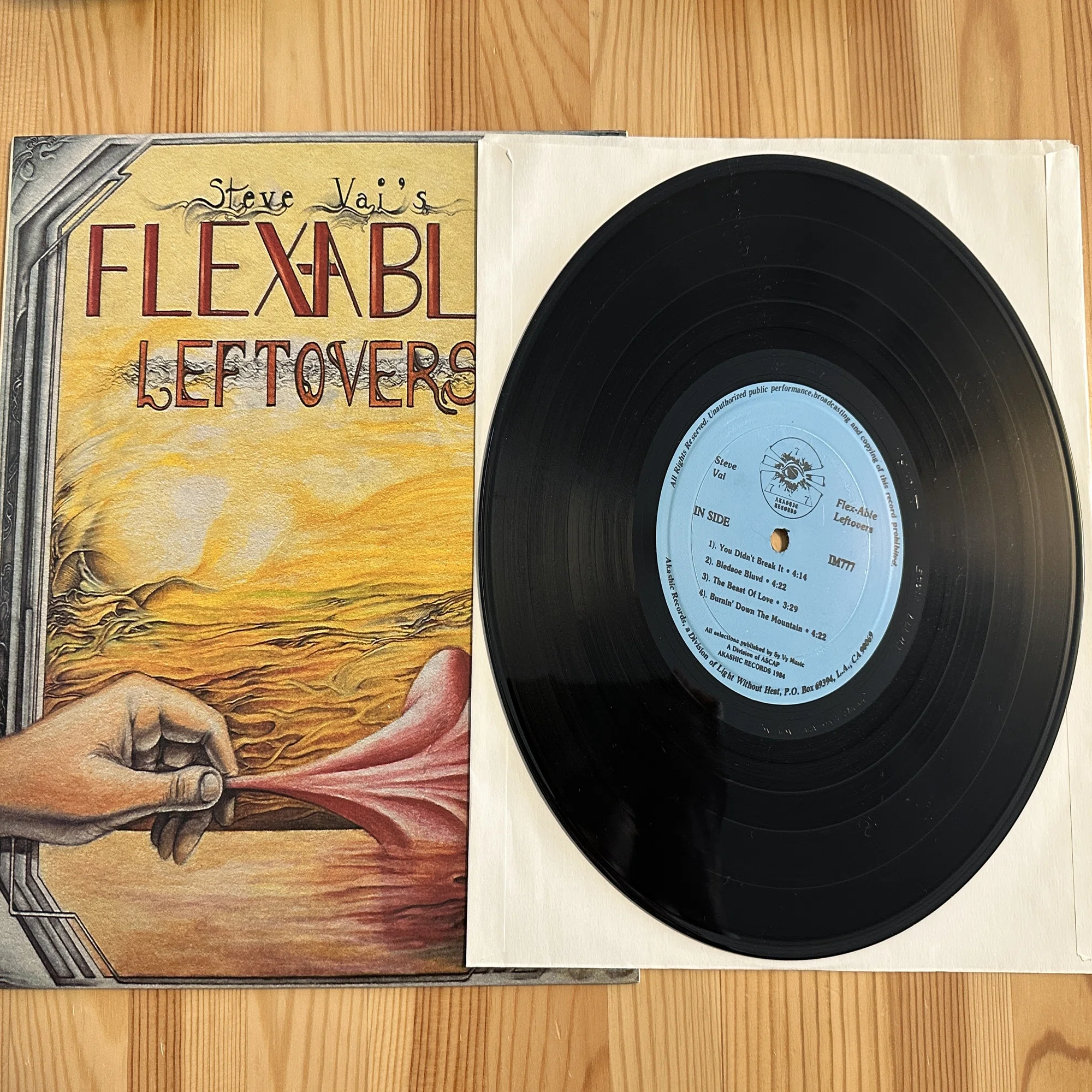 FLEX-ABLE LEFTOVERSの10インチ｜Saki