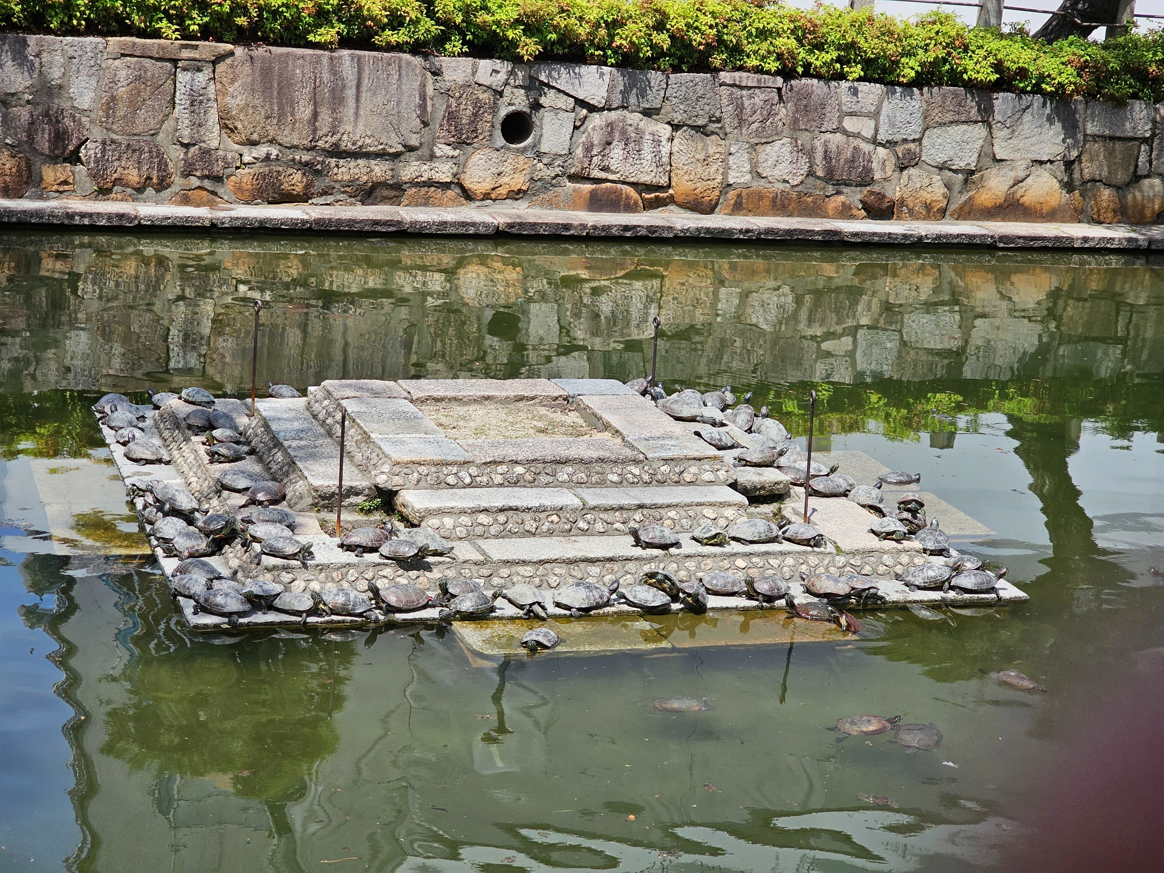 社寺散歩｜四天王寺（前編）｜大阪市｜日本仏法最初の官寺｜xicano