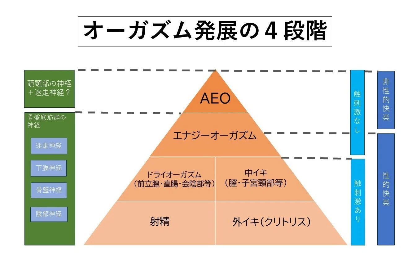 心理療法としてのAEO～「人生の午後」を乗り越える心身変容技法 