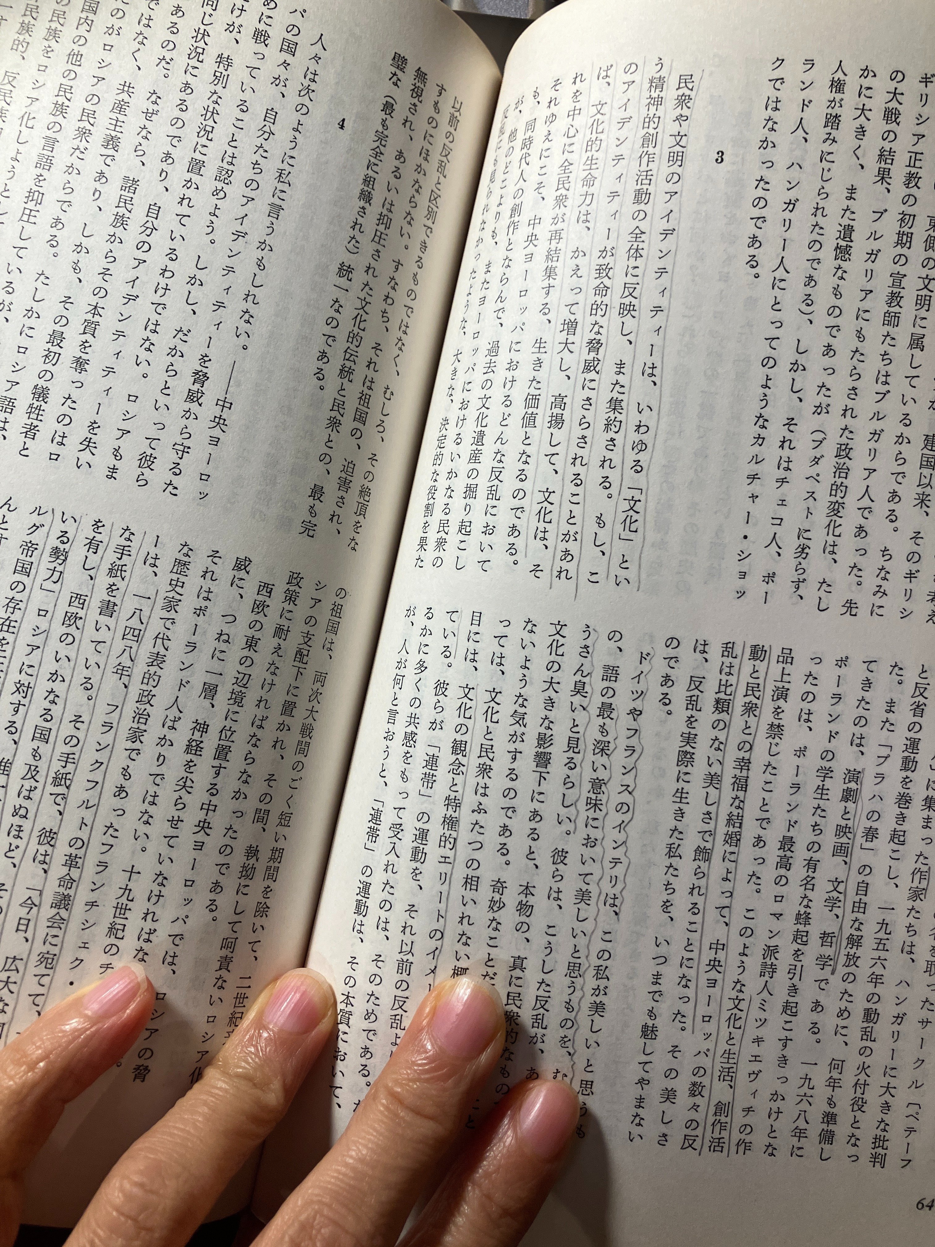 祝・読売文学賞受賞『翻訳とパラテクスト』を読んでみよう