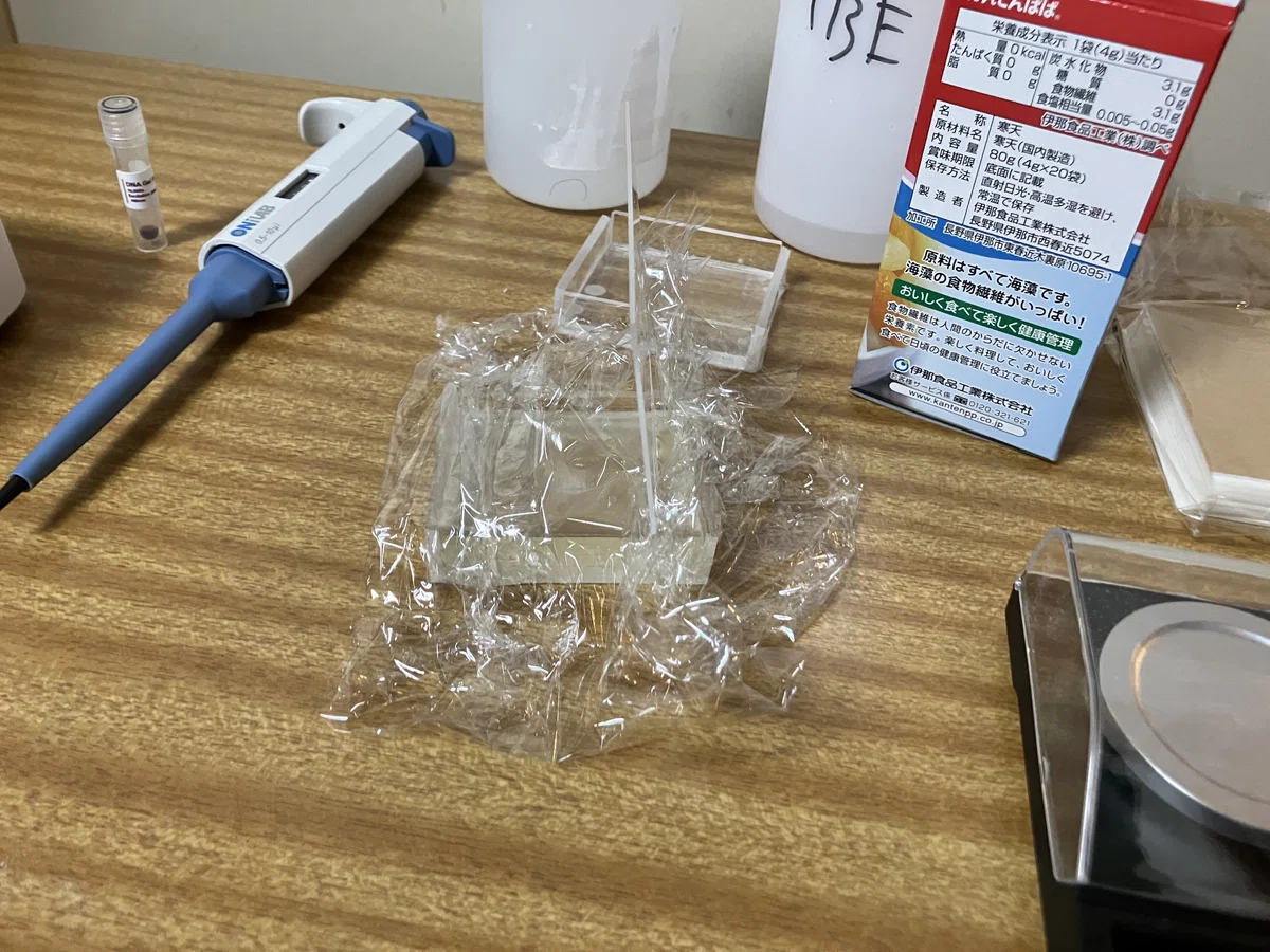電気泳動実験をやってみよう③ゲル作成2回目|バイオエンジニア・シノダ
