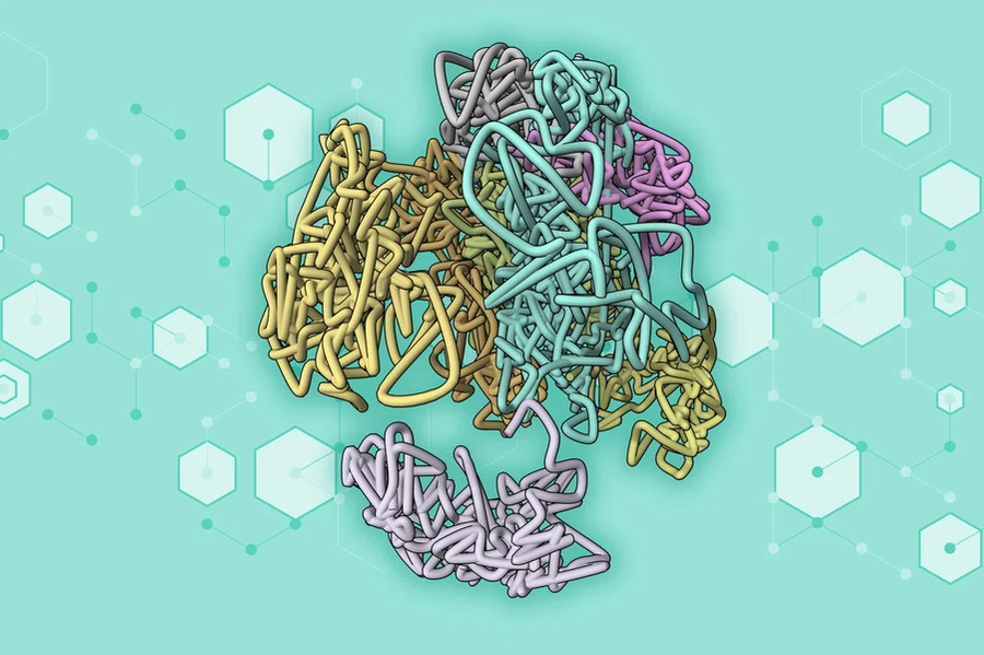New Method Developed to Instantly Predict 3D Genome Structure Using ...