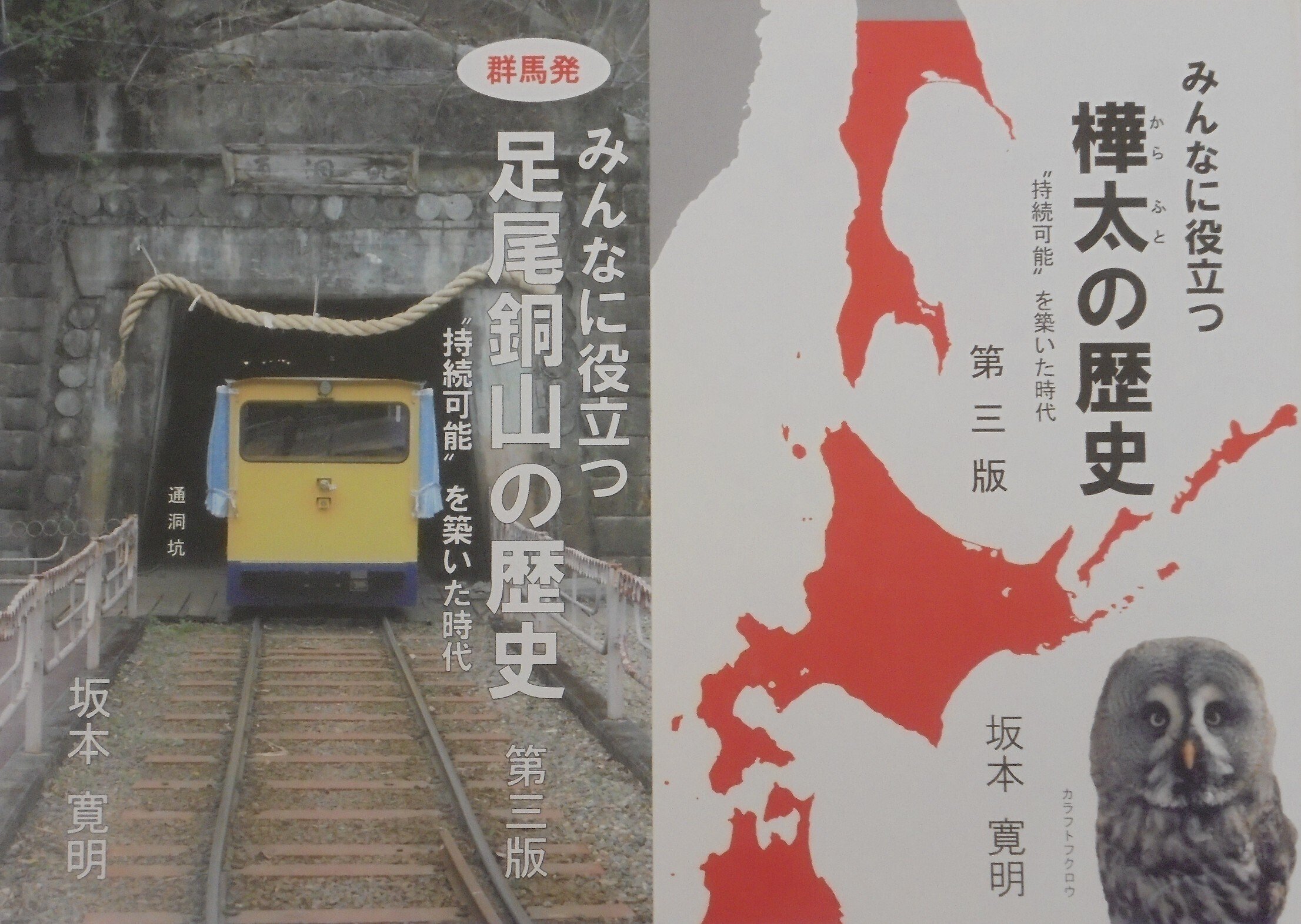 町民がつづる足尾の百年 第2部―銅山に生きた人々の