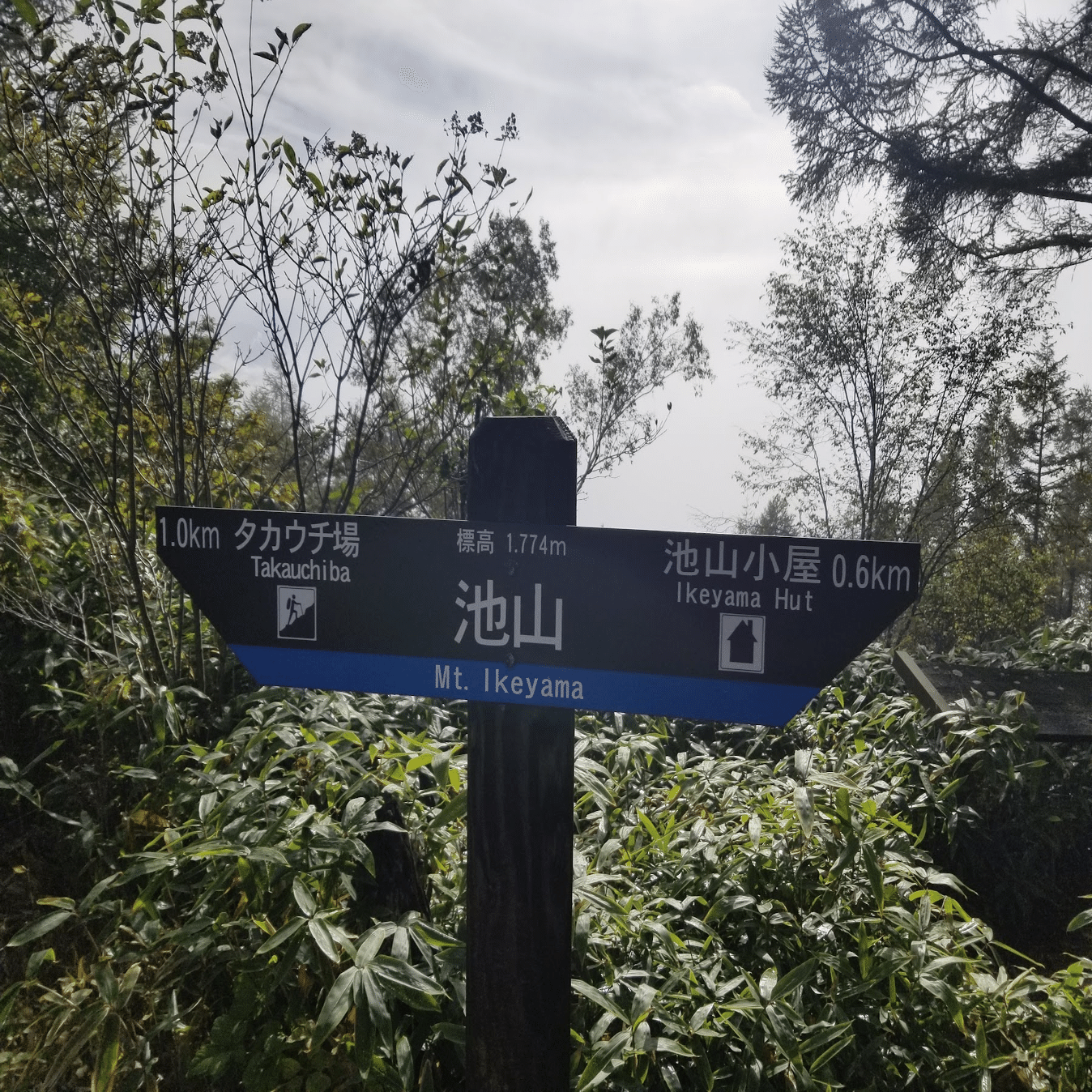 山の心得】～お助け標識編～｜ミズ