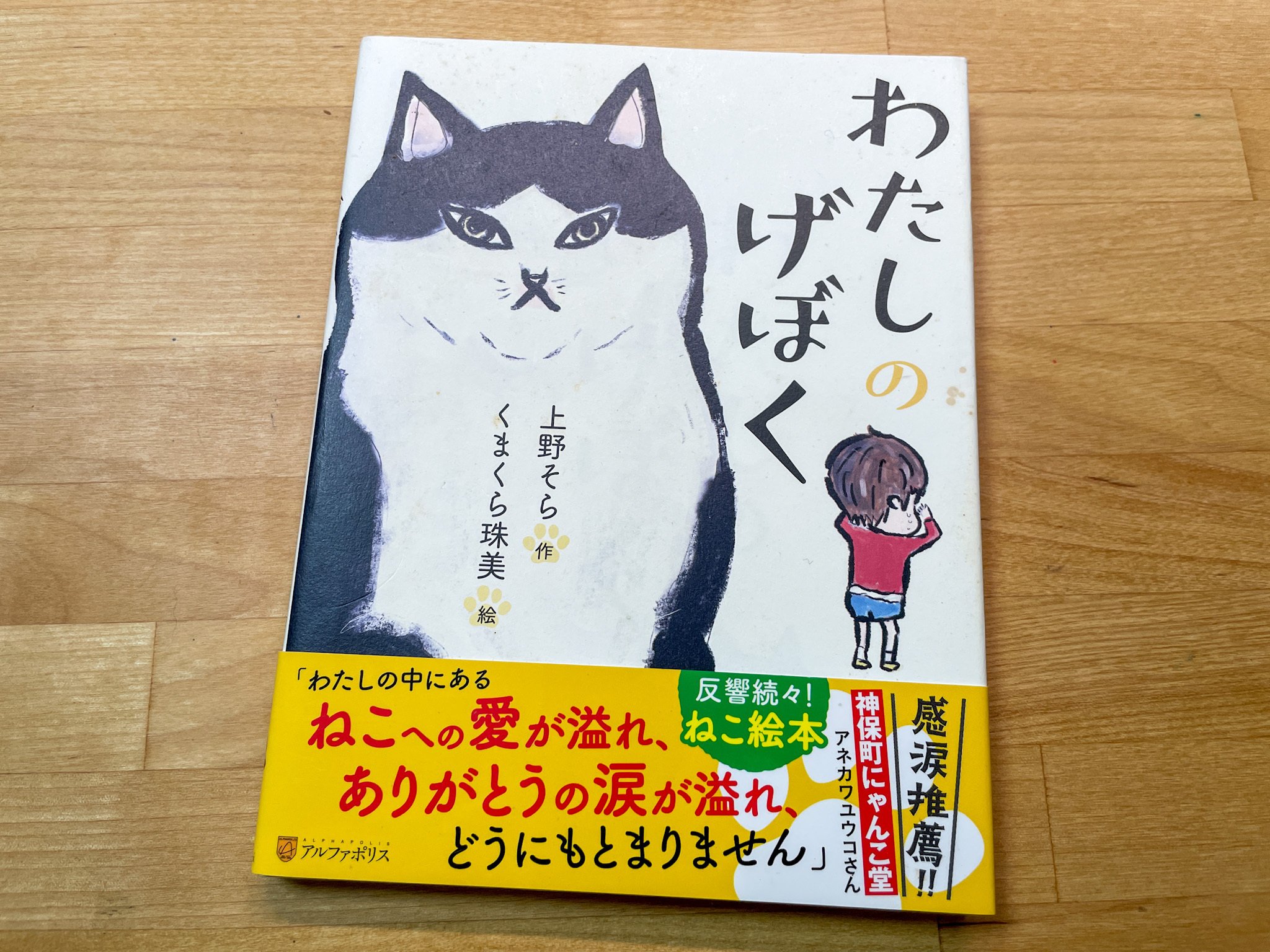 いつ読んでも涙が出る本〜『わたしのげぼく』〜【2月猫本チャレンジ2