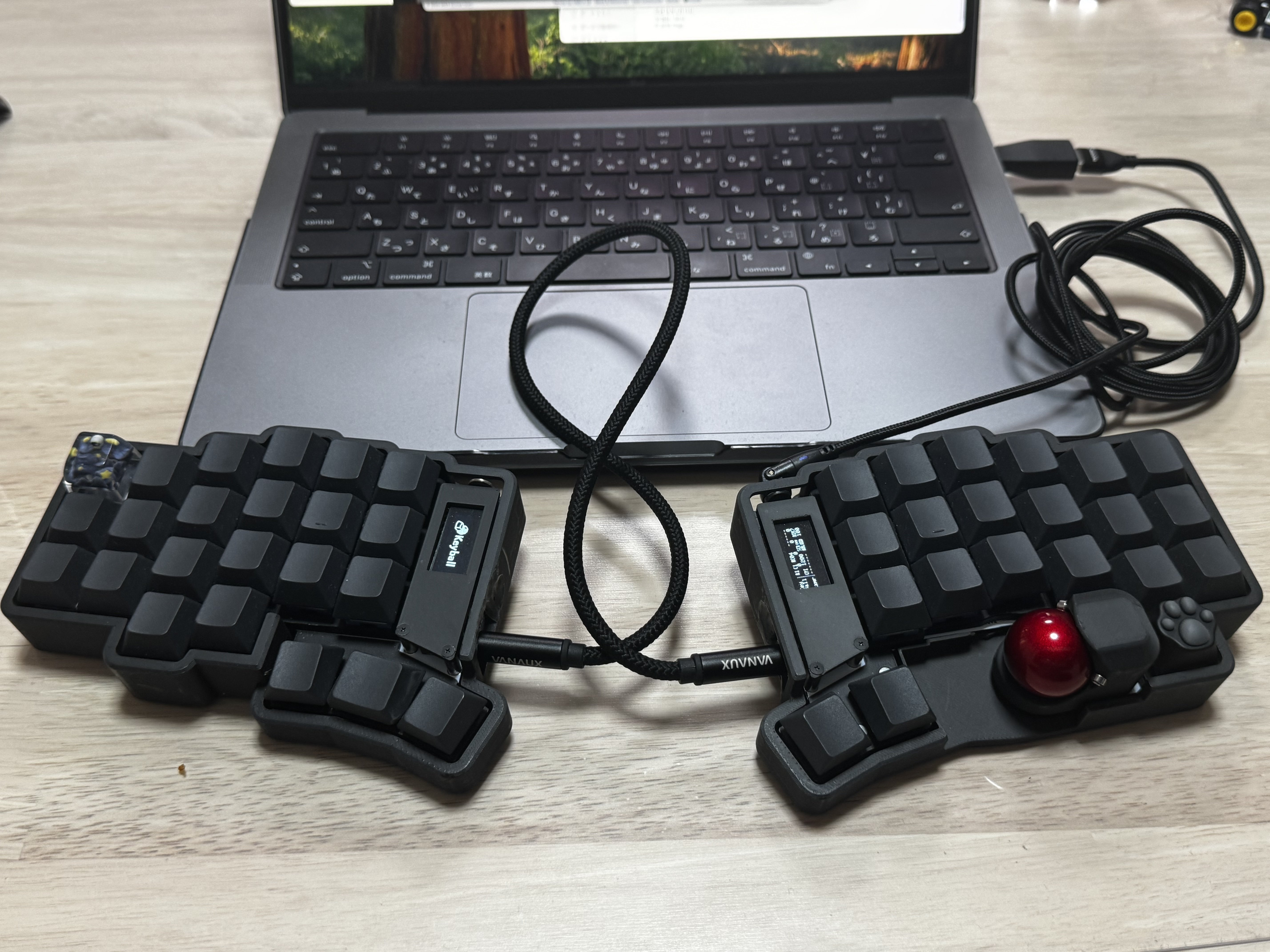 Keyball44を組んだ話|尖兵 Keyball44を組んだ話|尖兵
