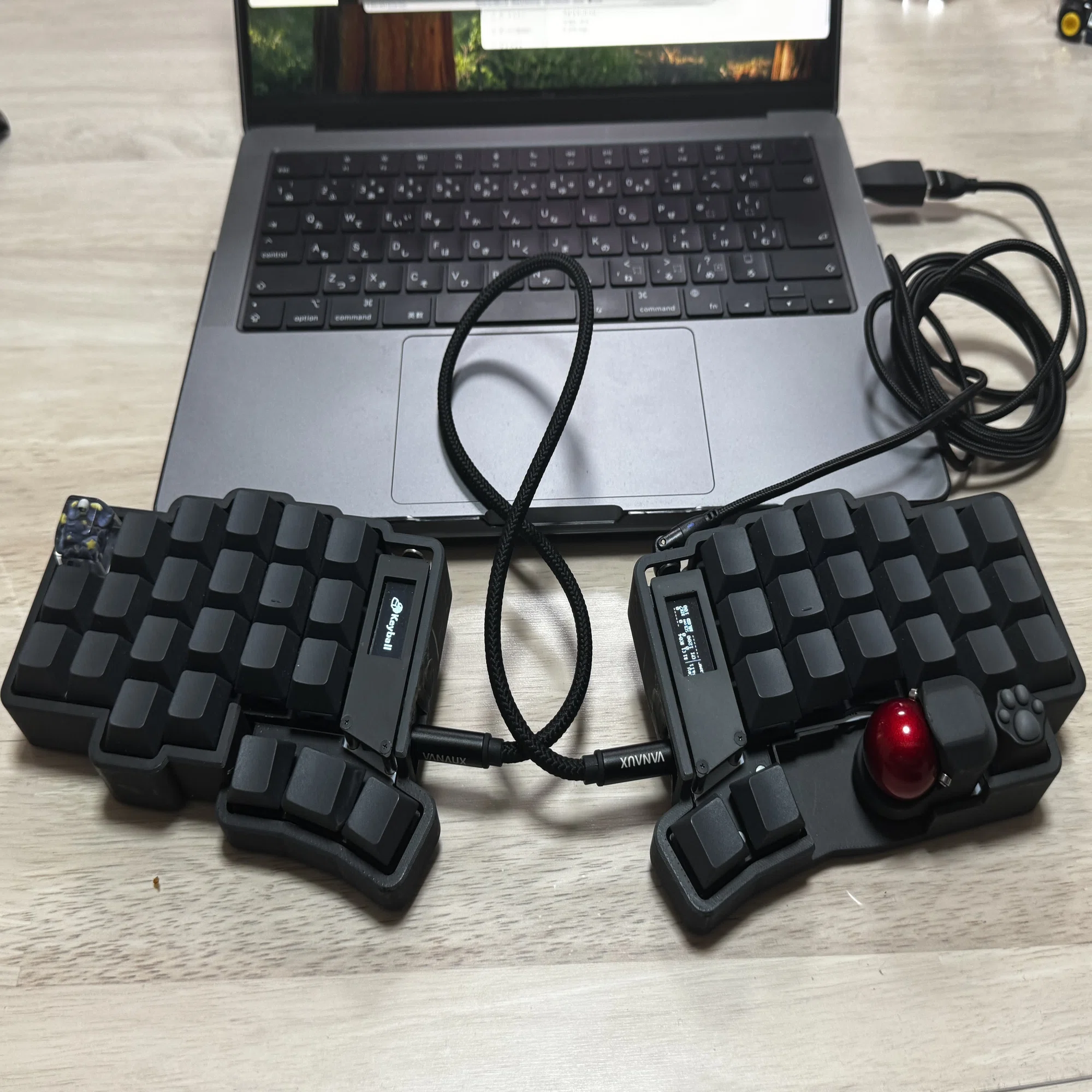 Keyball44を組んだ話｜尖兵