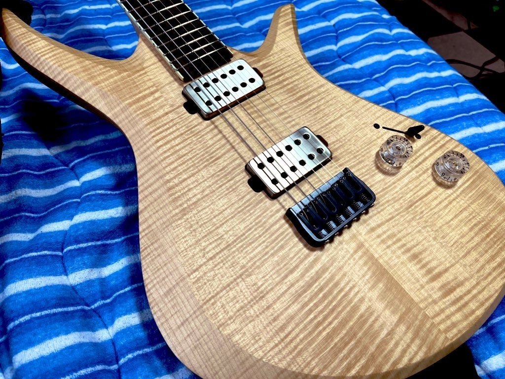 機材紹介(自慢)② Aviator Custom Guitar Blackbird 6 (666mm scale
