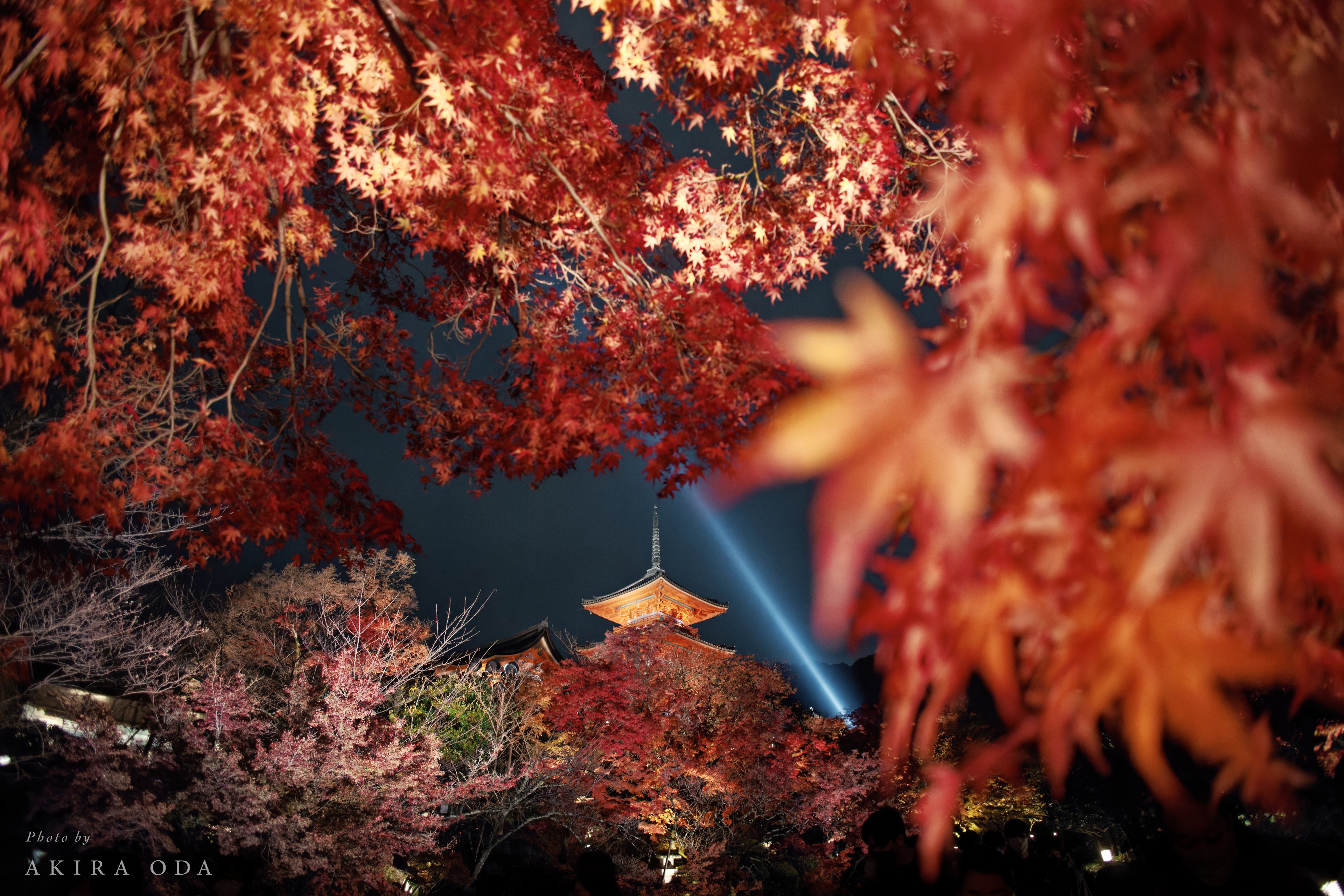 ✨写真が劇的に変わる✨CANON EF 28㎜✨F2.8 ✨単焦点レンズ✨ ✨写真が劇的に変わる✨CANON EF 28㎜✨F2.8 ✨