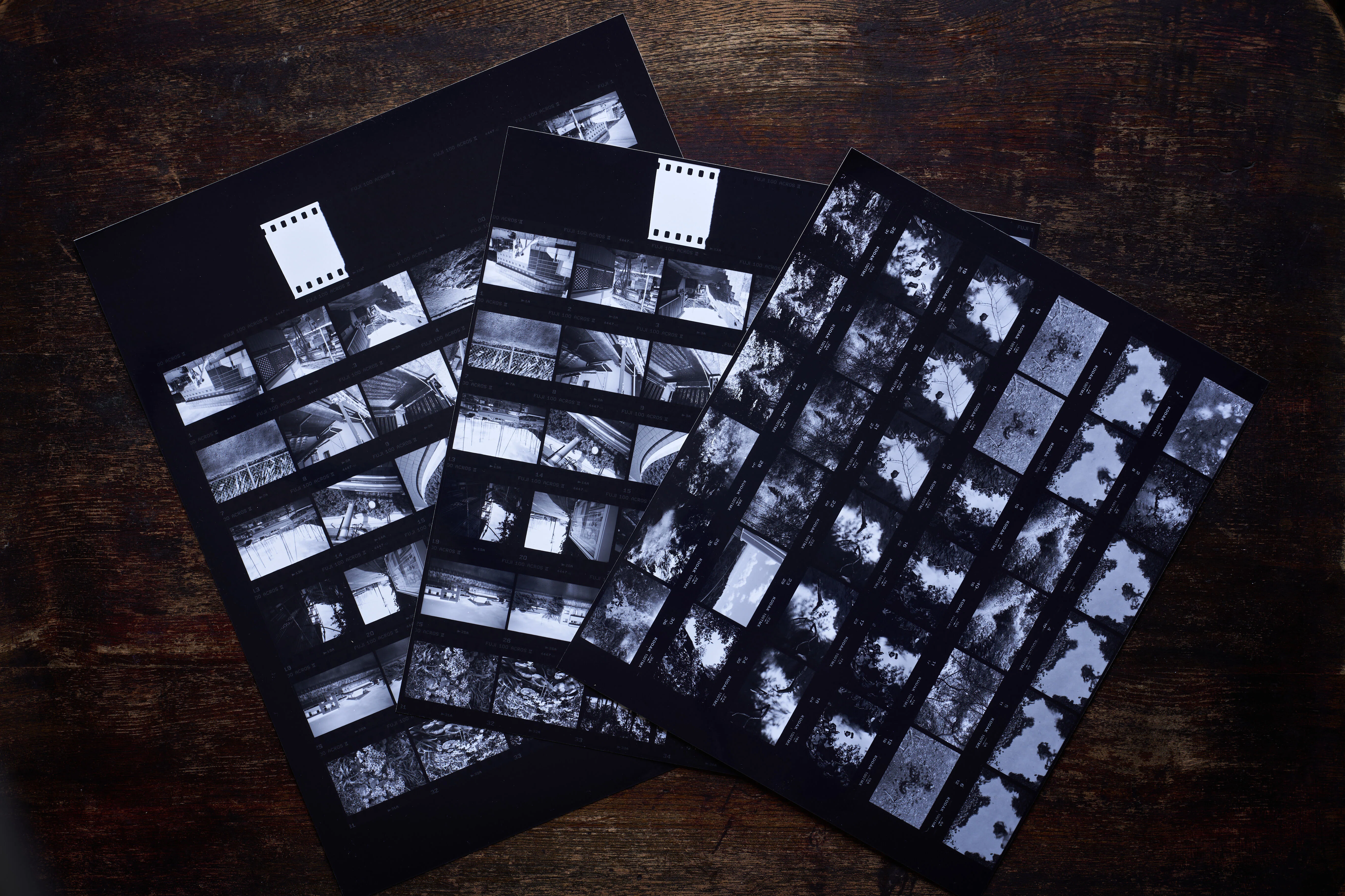 35mmフィルムの「シートベタ」バリエーション紹介｜白黒写真現像所
