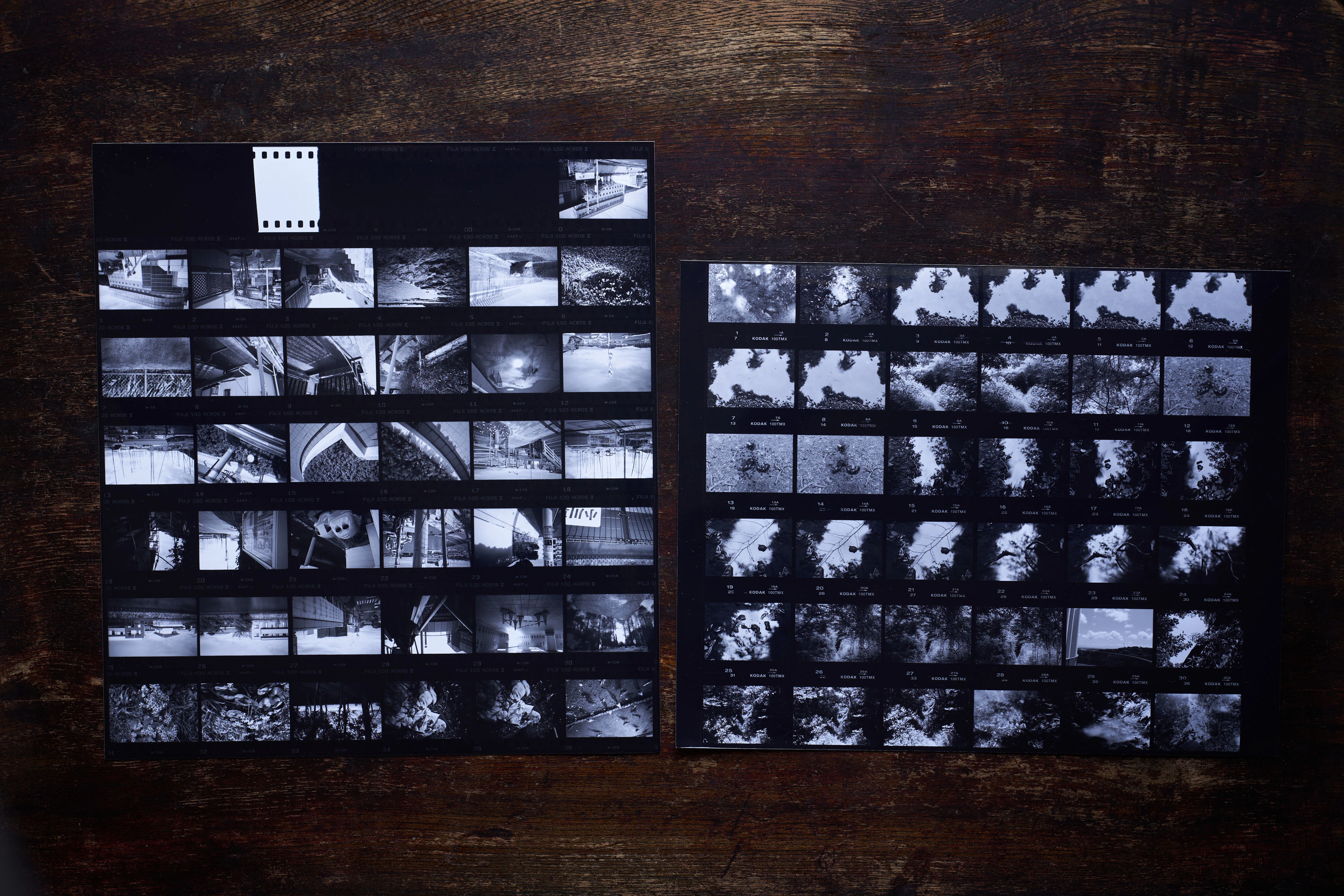 35mmフィルムの「シートベタ」バリエーション紹介｜白黒写真現像所