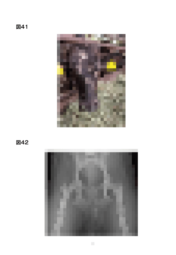 獣医師国家試験】過去問の画像を手に入れる方法｜モカシヨ